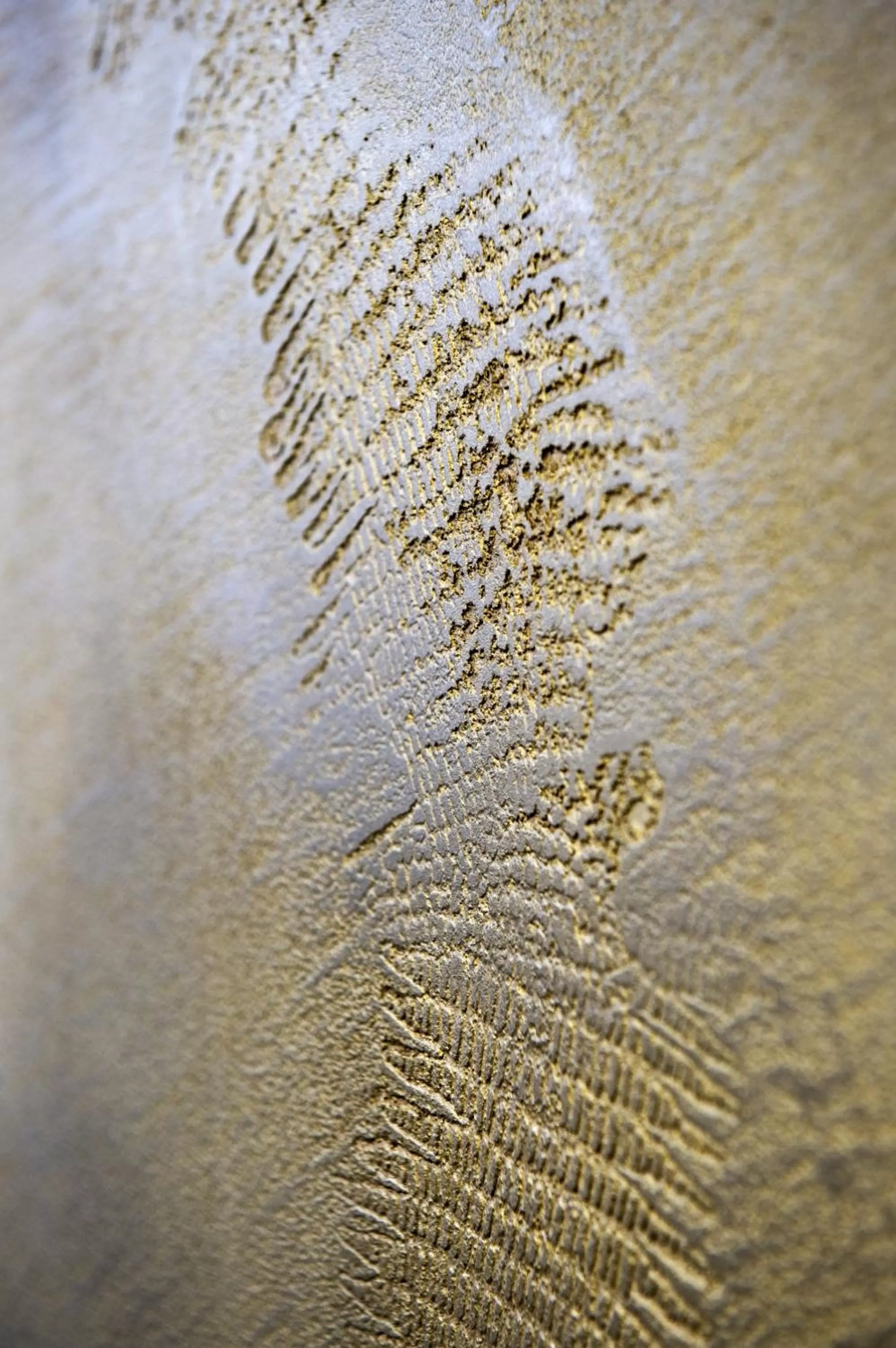 Decorative detail in Hôtel Le Rohan, centre Cathédrale