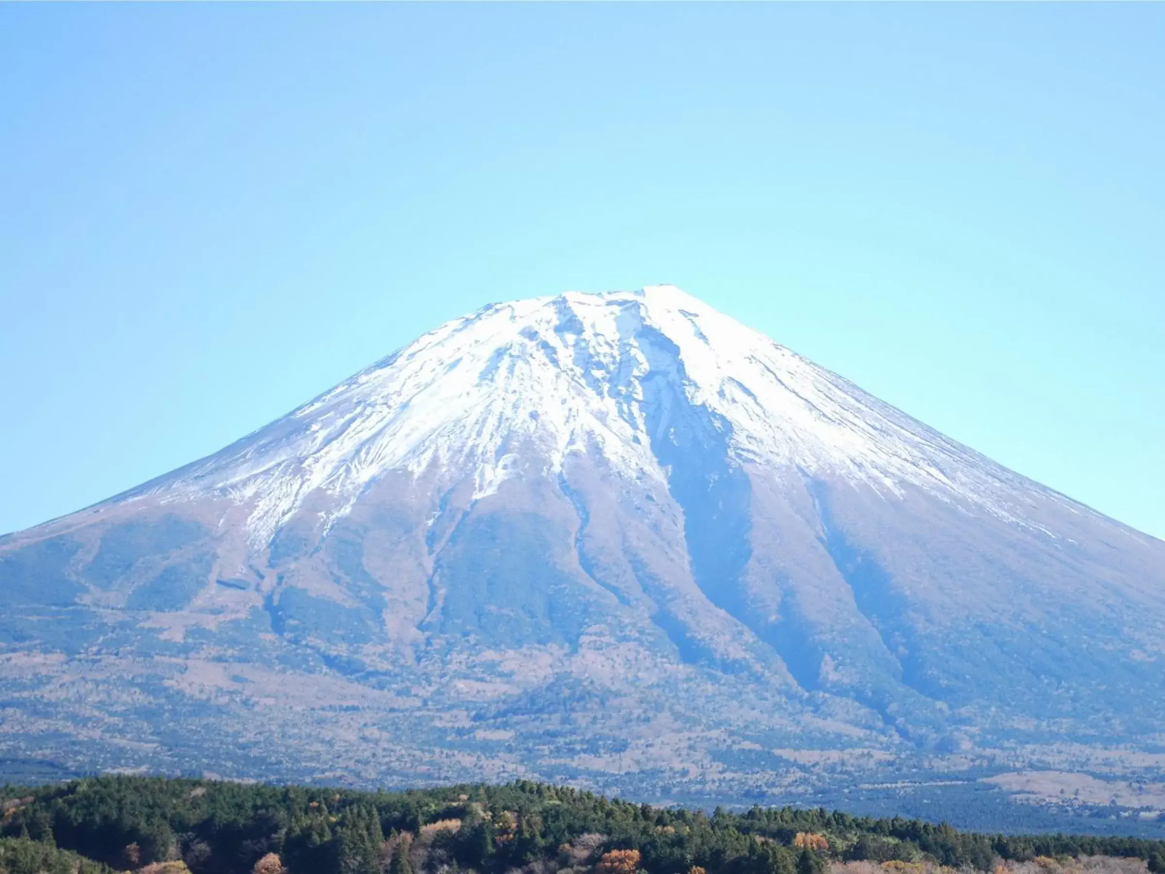 Other, Natural Landscape in Fujinomiya Fujikyu Hotel