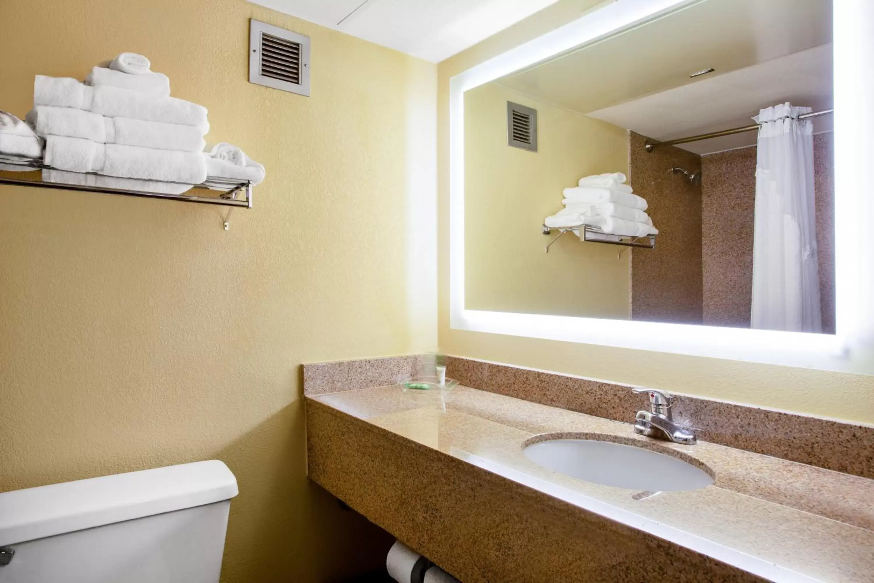 Photo of the whole room, Bathroom in Holiday Inn Morgantown - Reading Area, an IHG Hotel