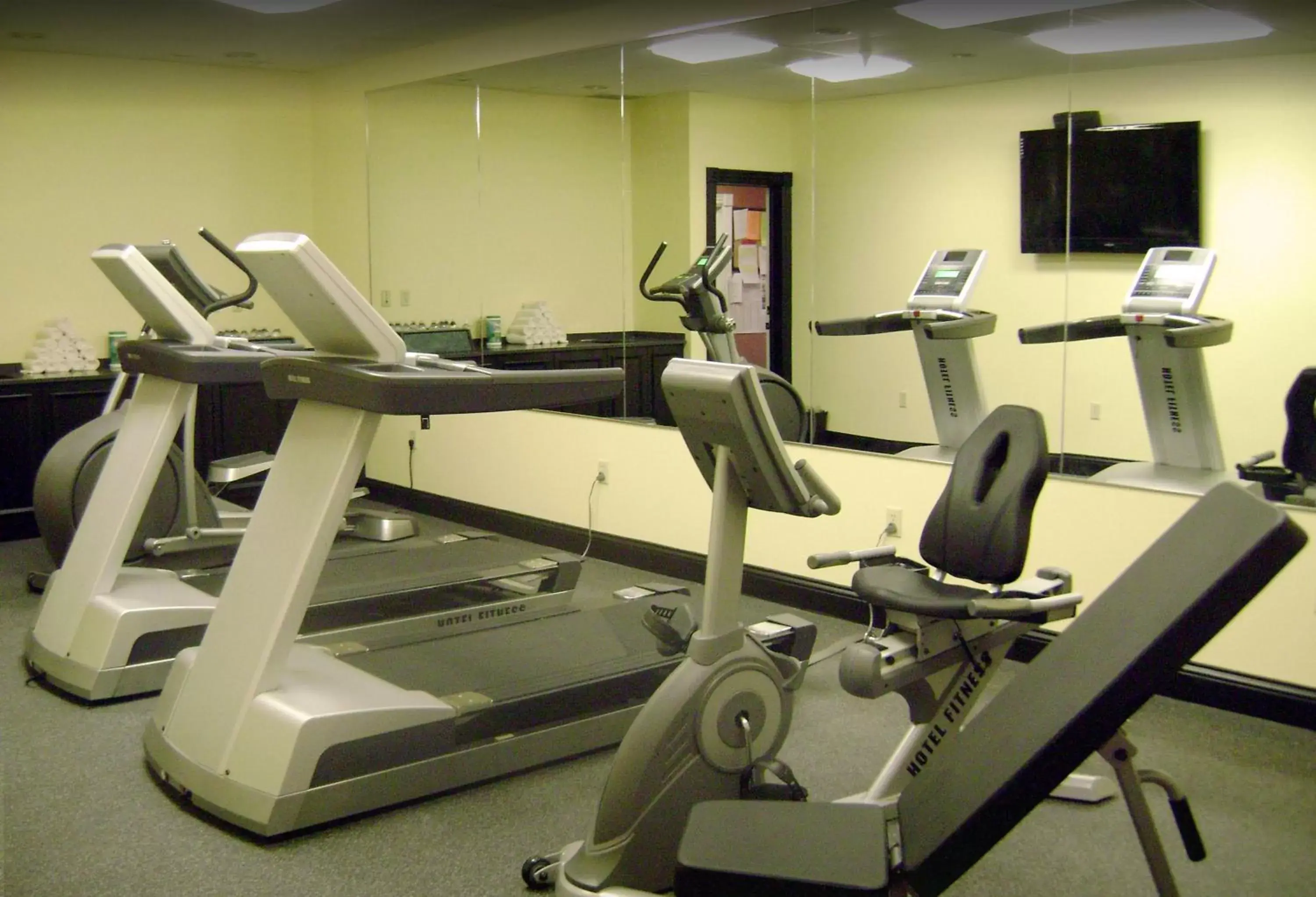 Fitness centre/facilities, Fitness Center/Facilities in Euro-Suites Hotel