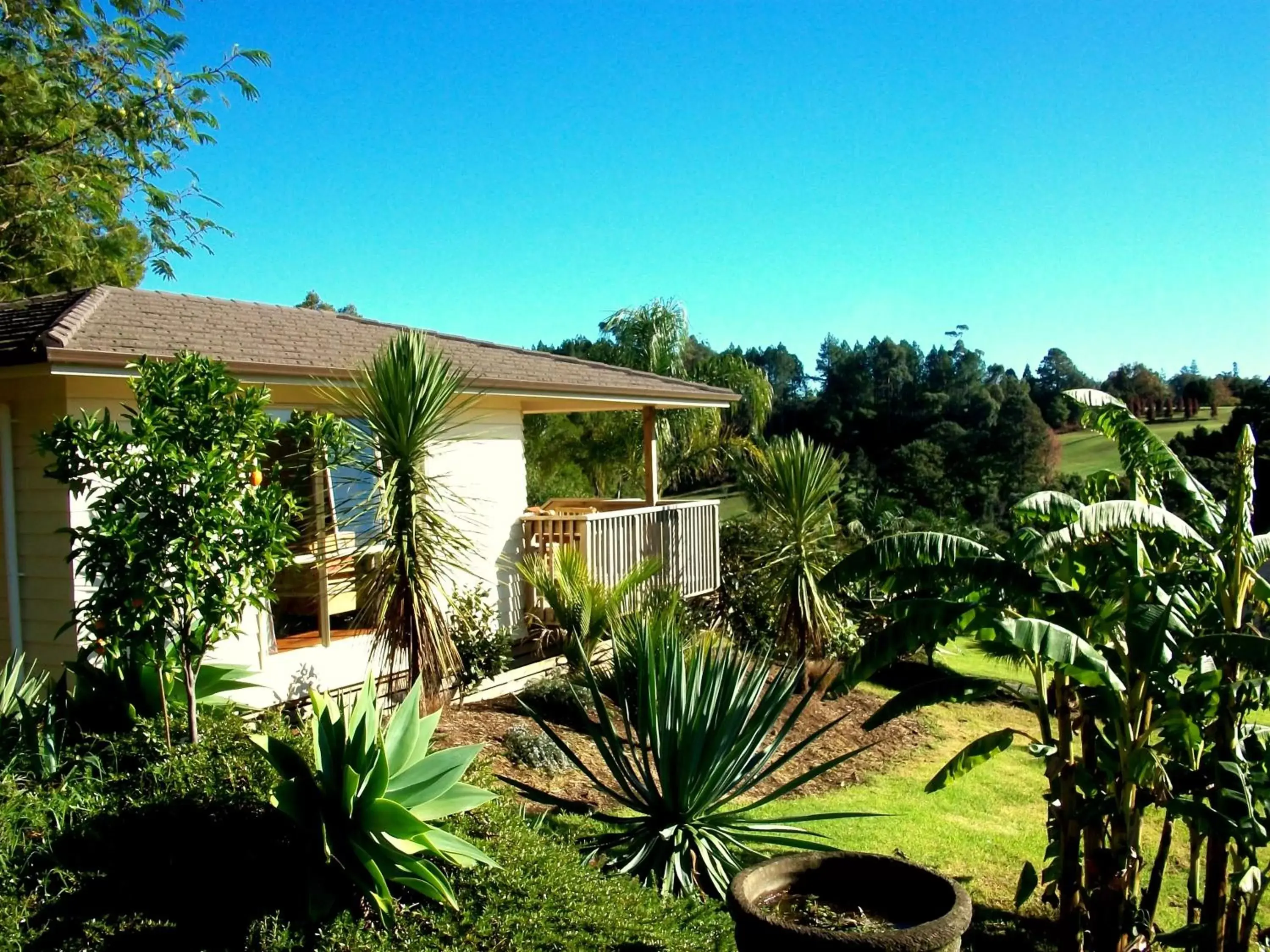 Patio, Garden in Avalon Resort