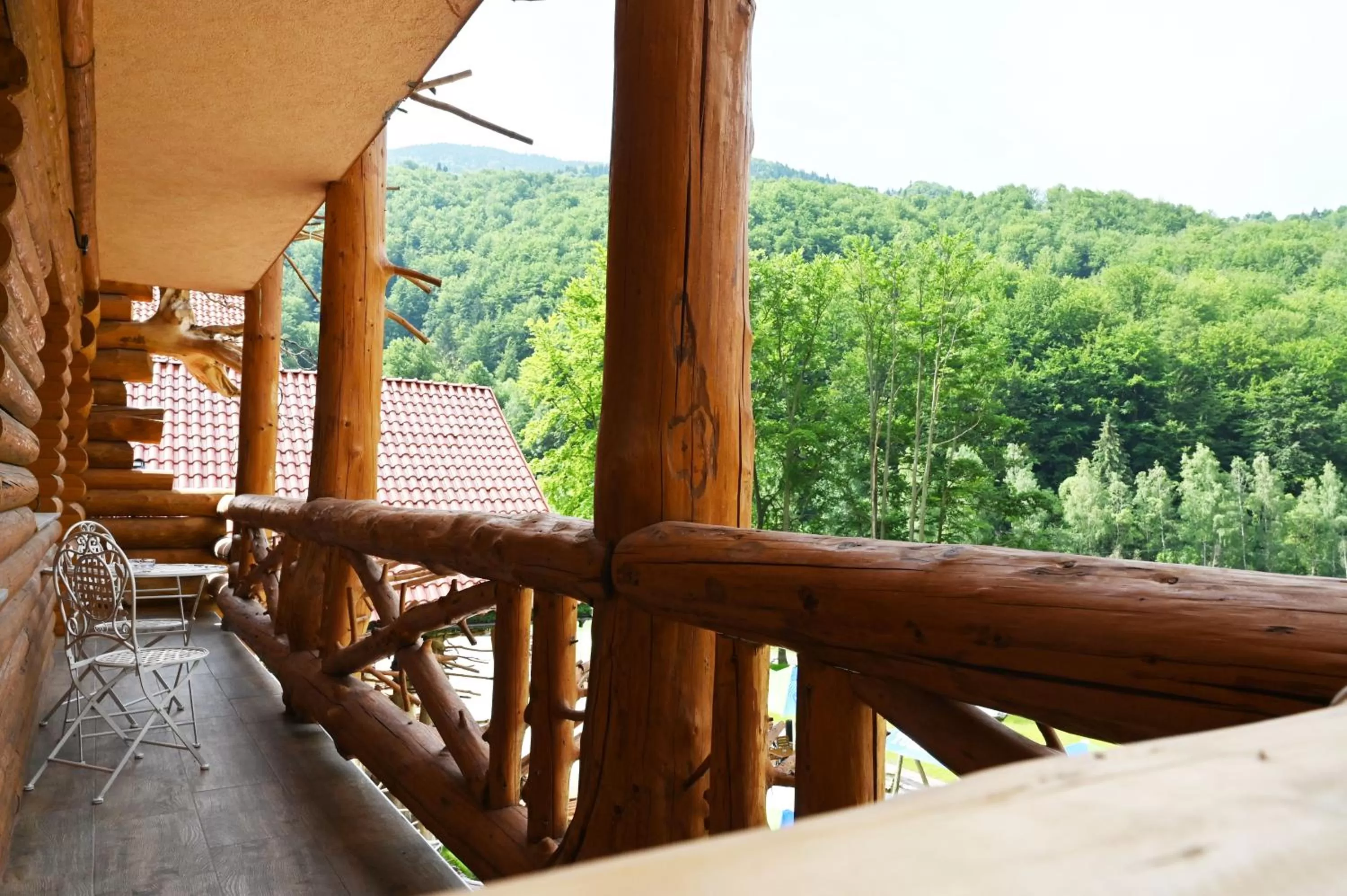 Day in Conacul Radacinilor