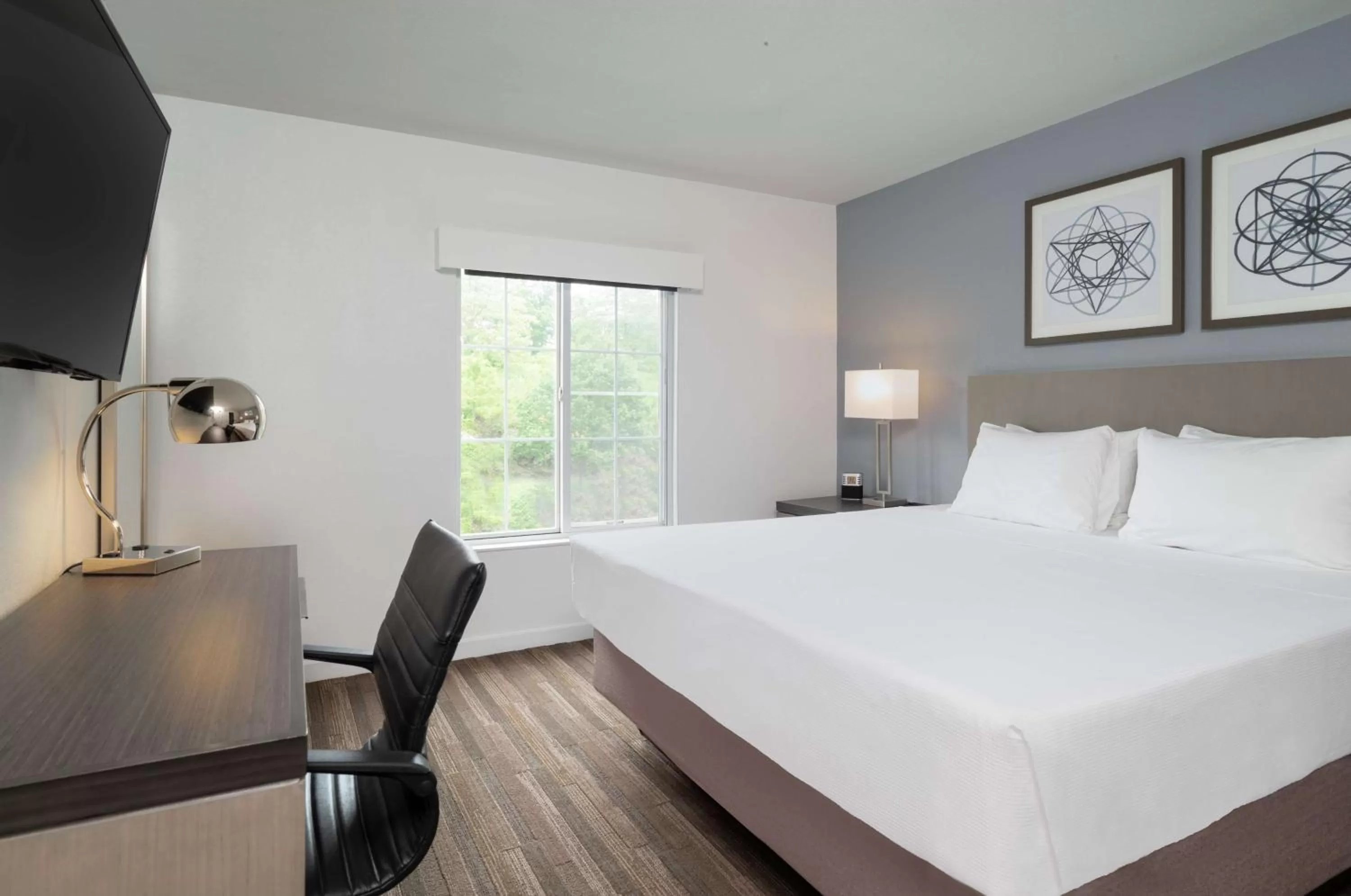 Photo of the whole room, Bed in Hyatt House White Plains