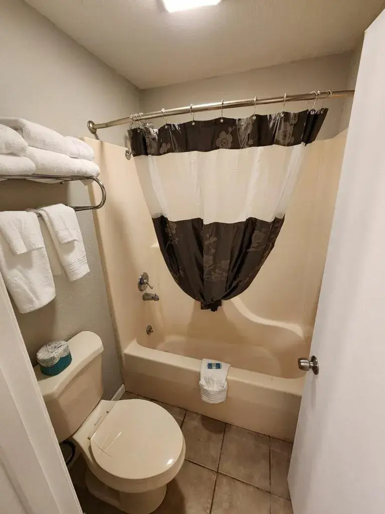 Day, Bathroom in Branson Ozarks Inn