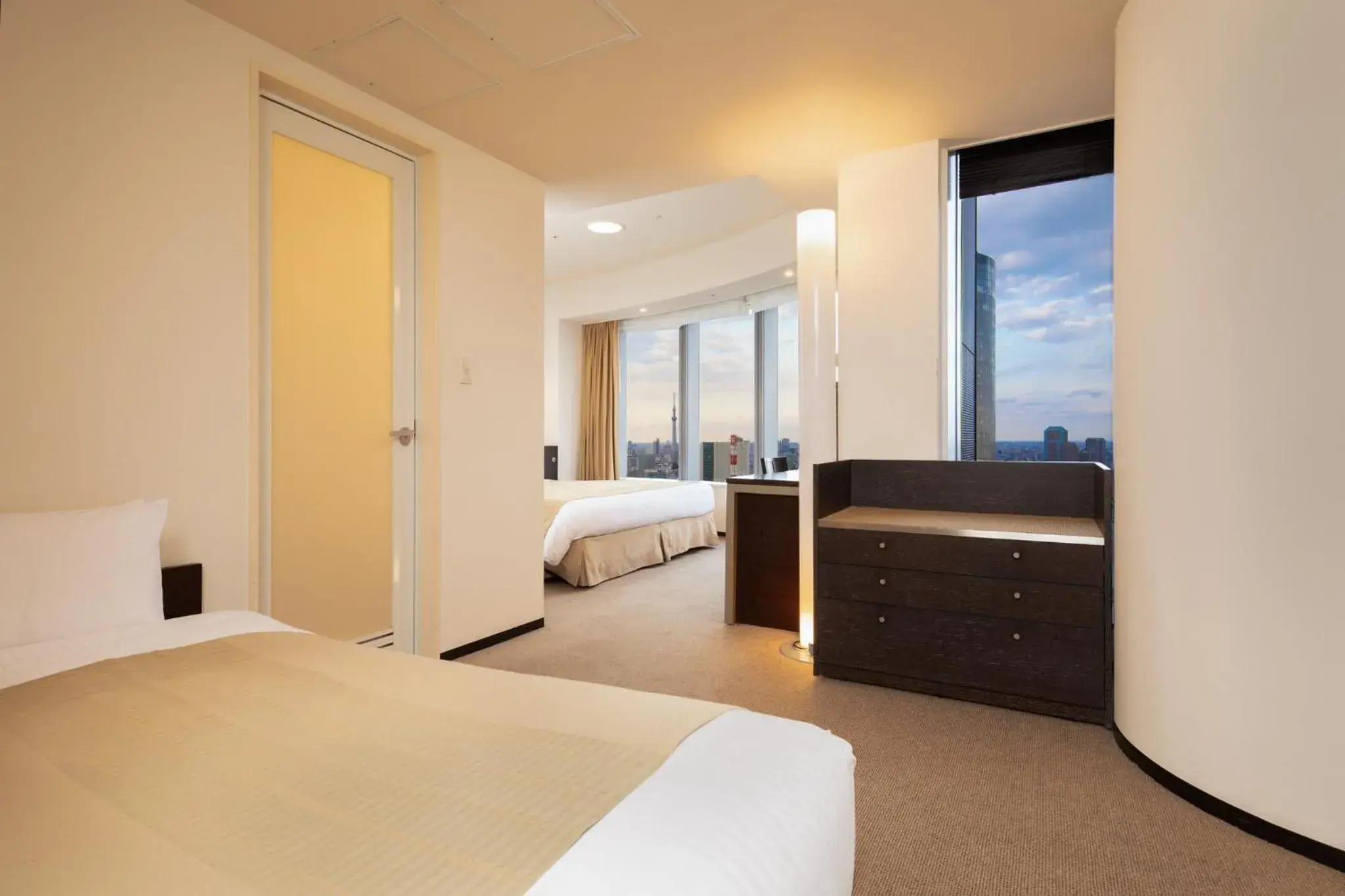 Deluxe Triple Room with 1 King Bed and 1 Sofa Bed - single occupancy - Above 27th floor - Non Smoking in Park Hotel Tokyo