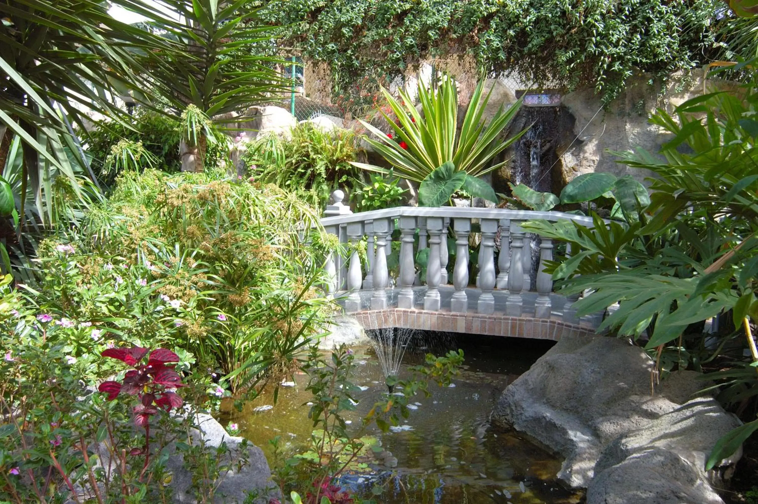 Garden in Hotel Don Manolito