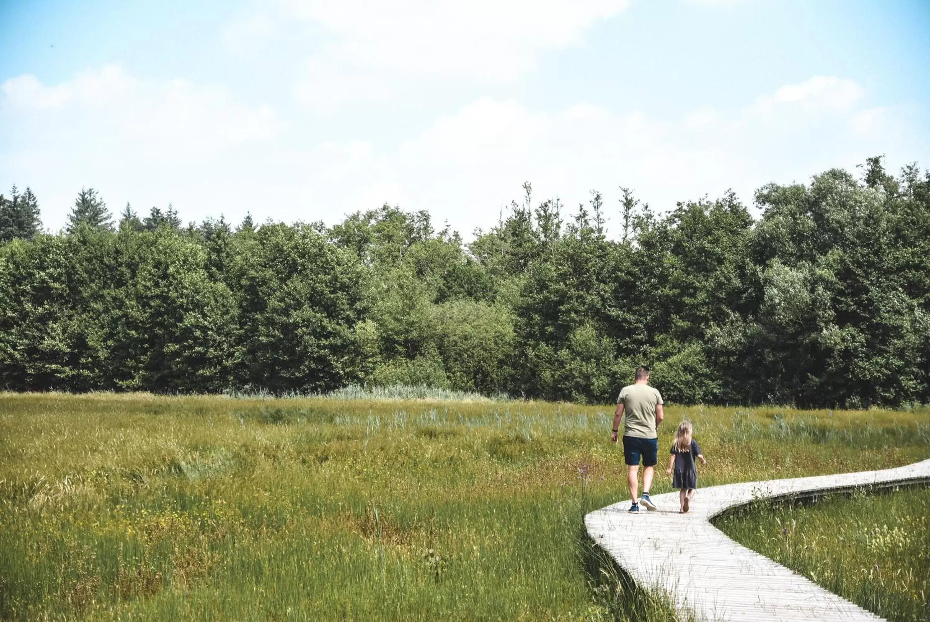 Natural landscape in Witte Berken Natuurhotel