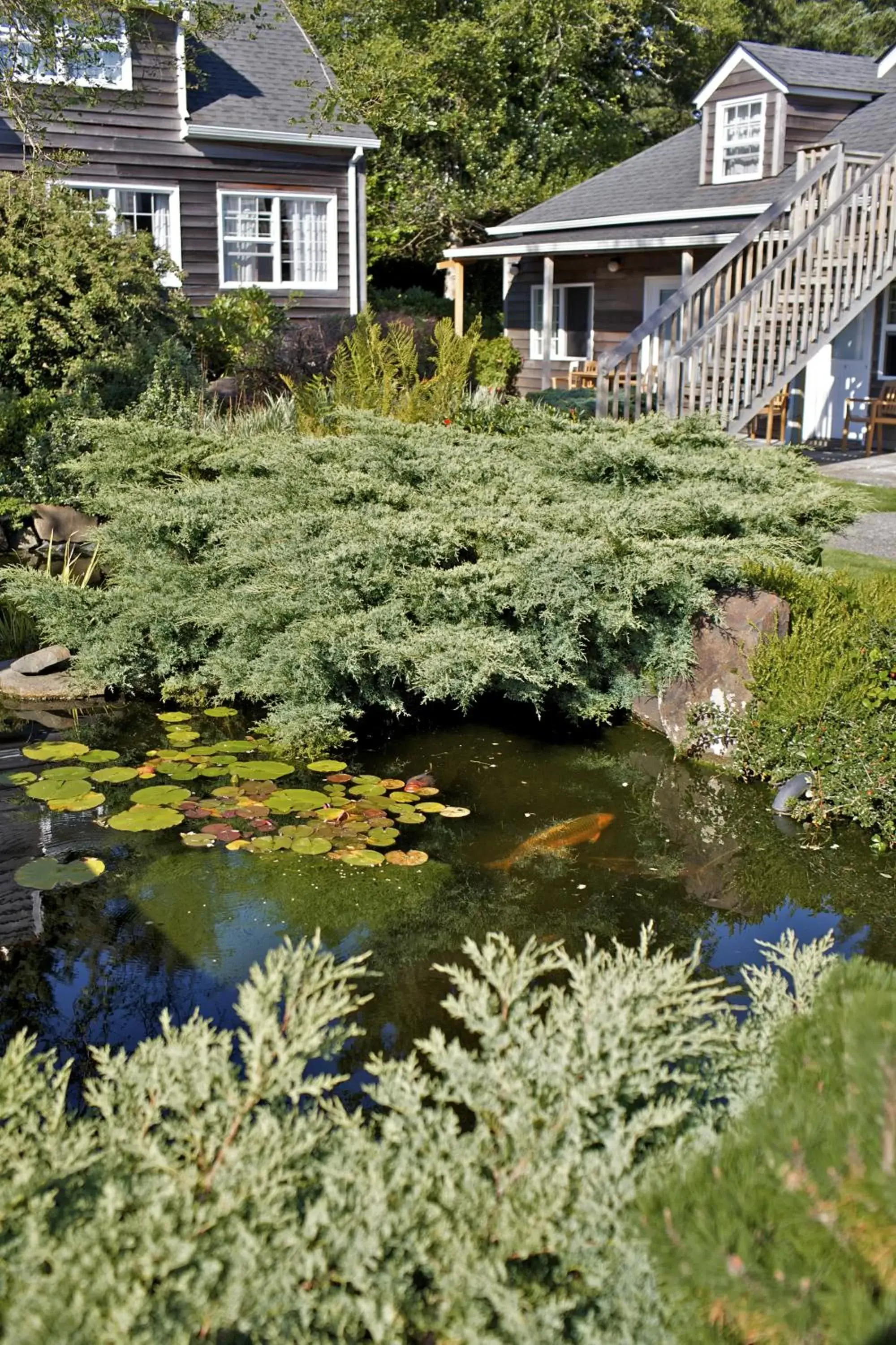 Garden in Ecola Creek Lodge