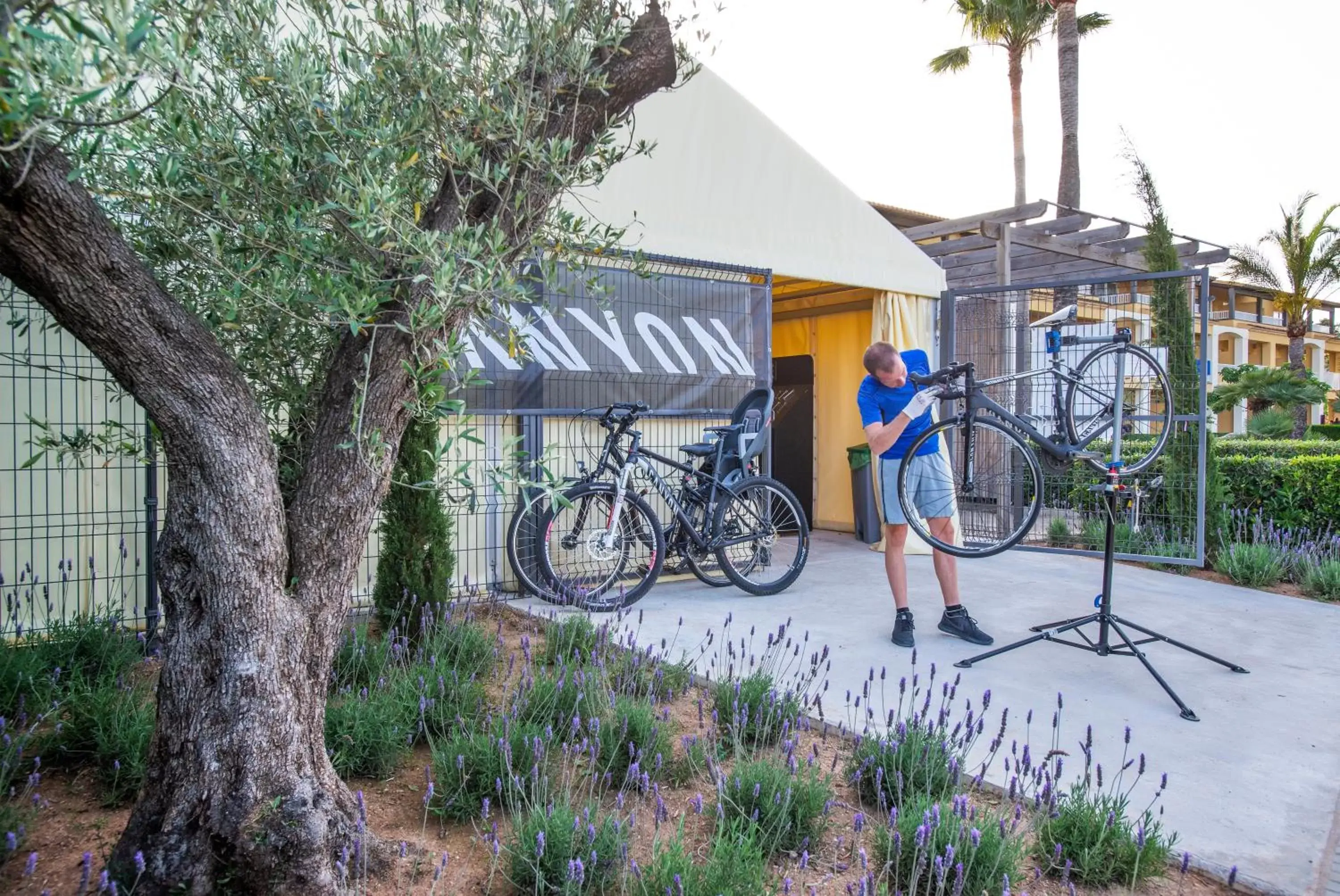 Cycling in Club del Sol Aparthotel