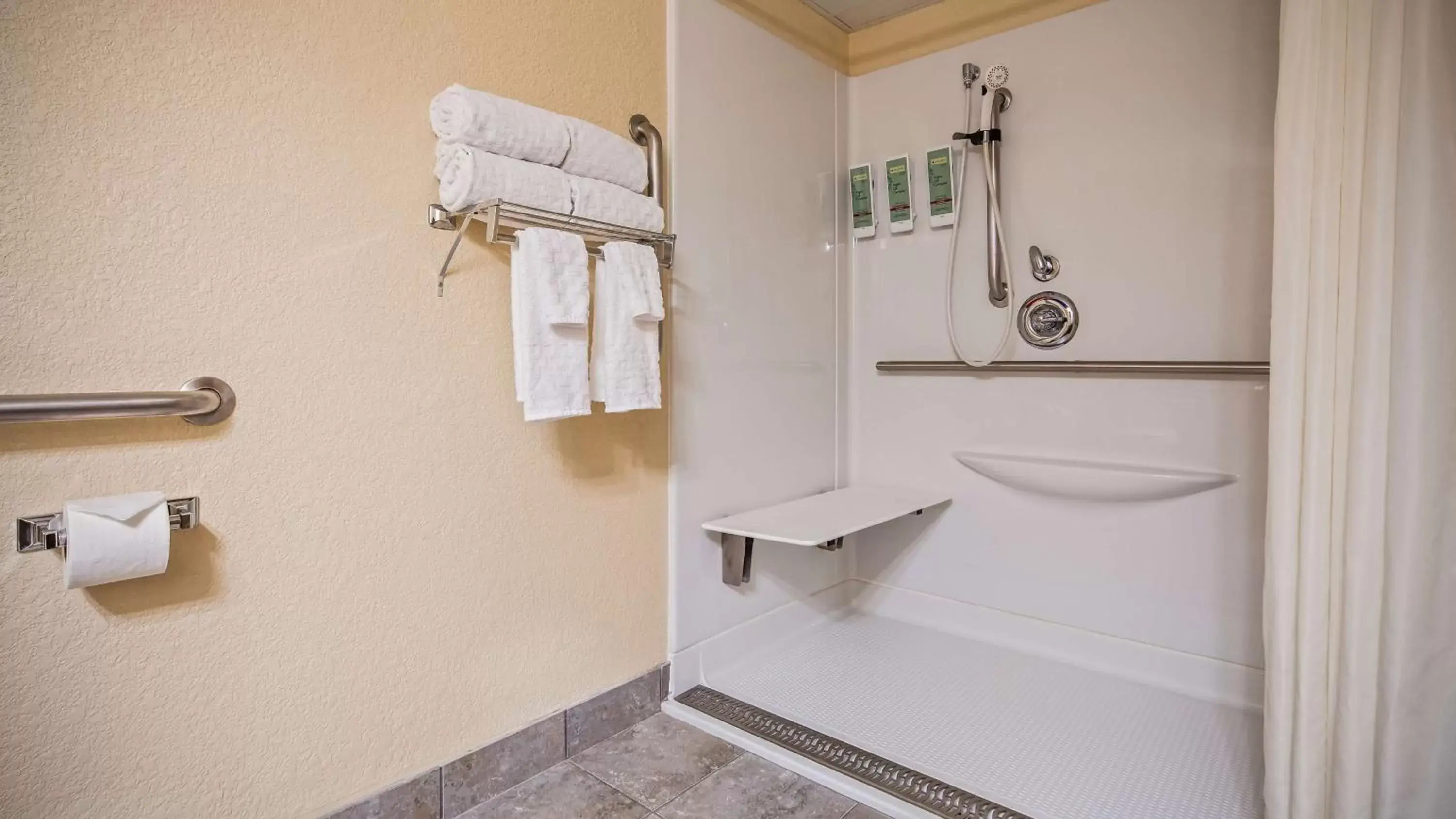 Bathroom in Best Western Center Pointe Inn