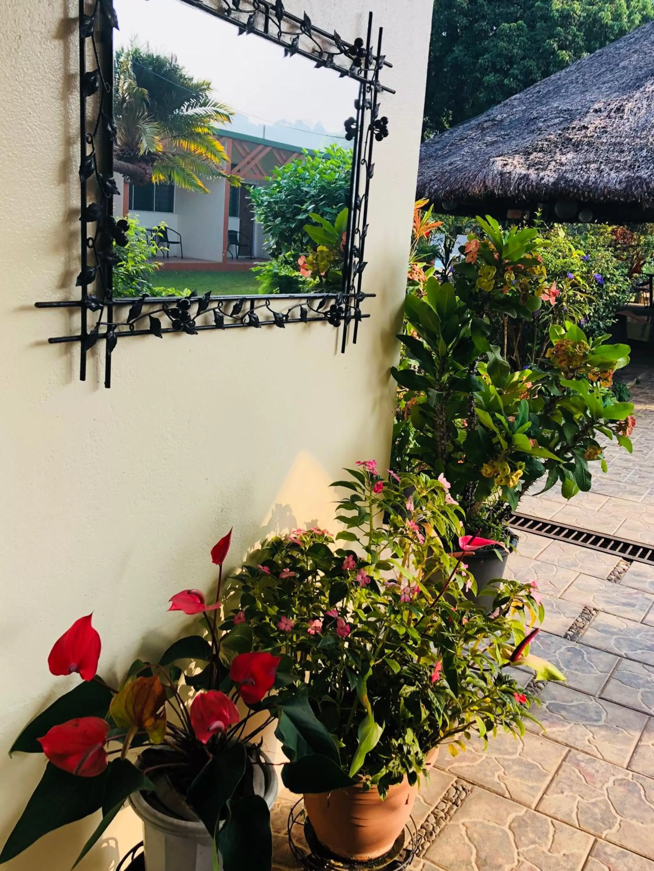 Garden in Hotel Santo Vanuatu