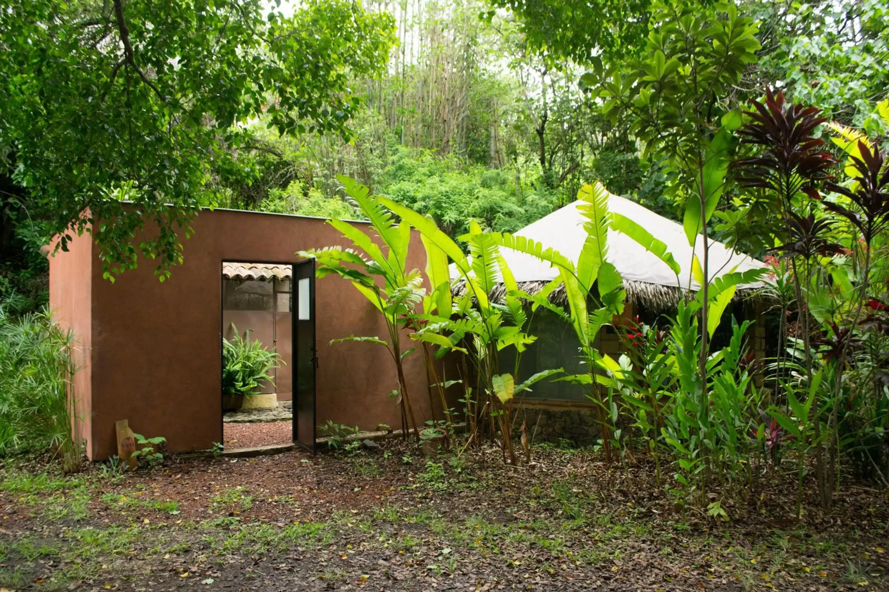 Garden view in Yolitia Wellness