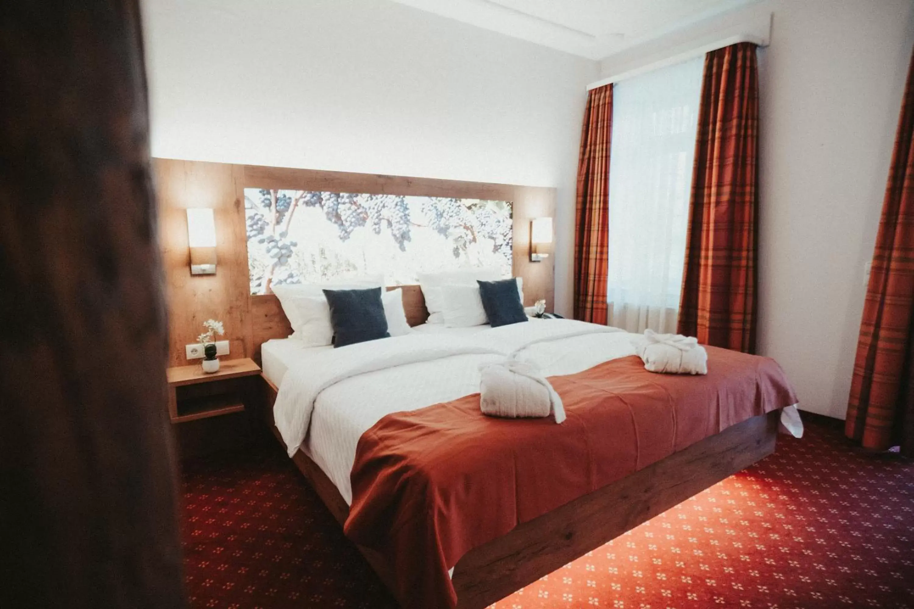 Double Room in Hotel Rodderhof Double Room in Hotel Rodderhof