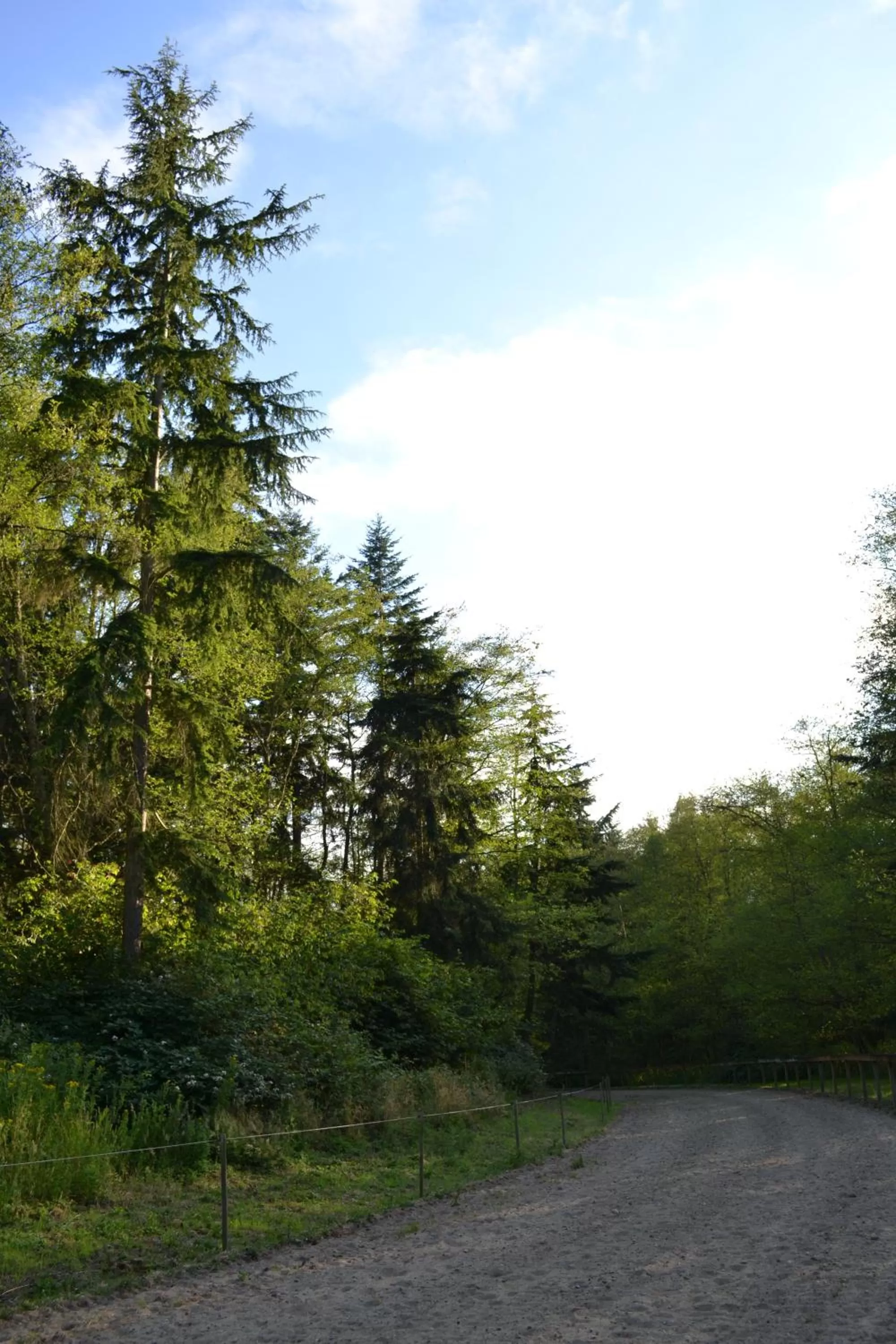 Natural landscape in Wildwood Farm Bed & Breakfast