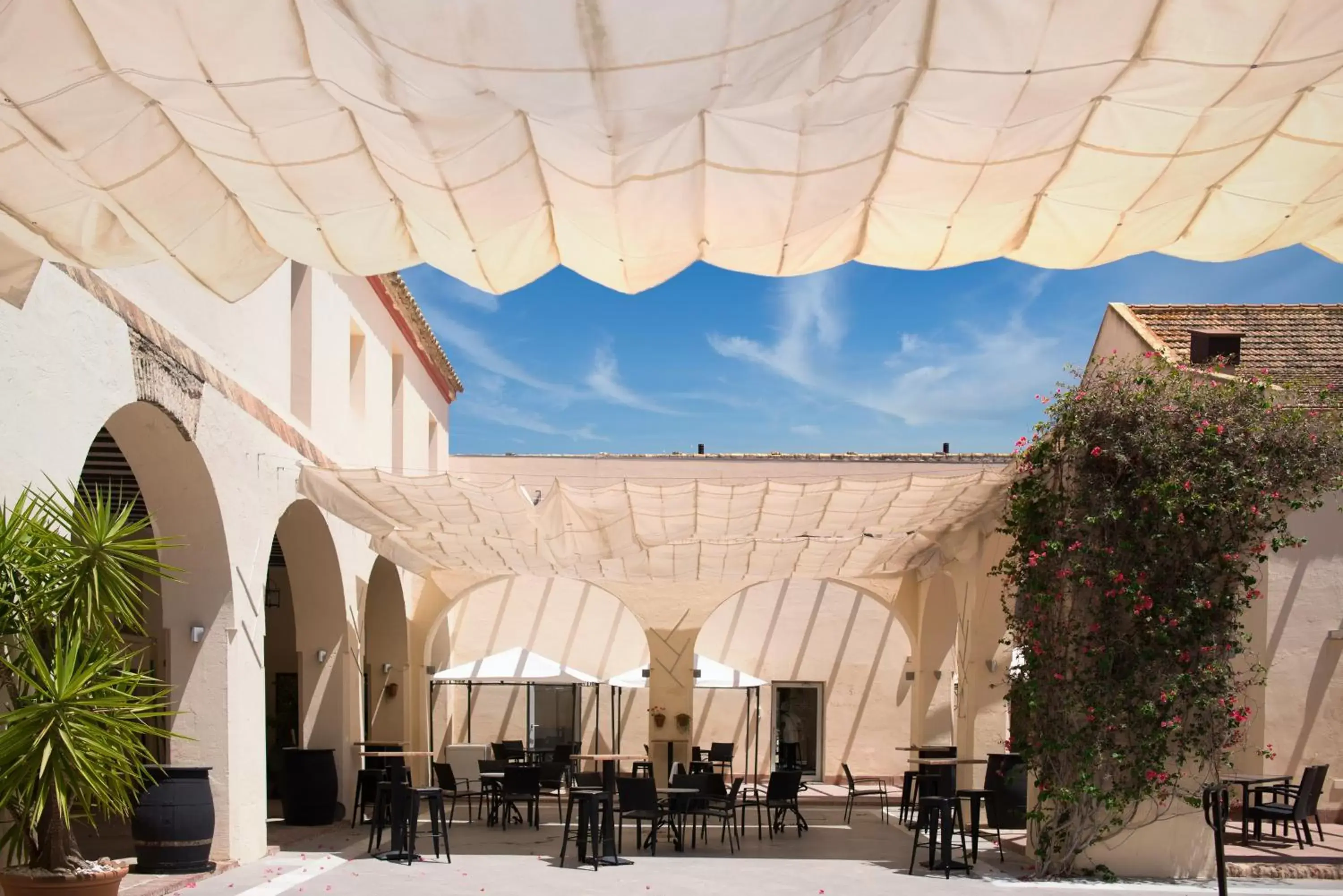 Patio in Hotel Palacio Marqués de Arizón