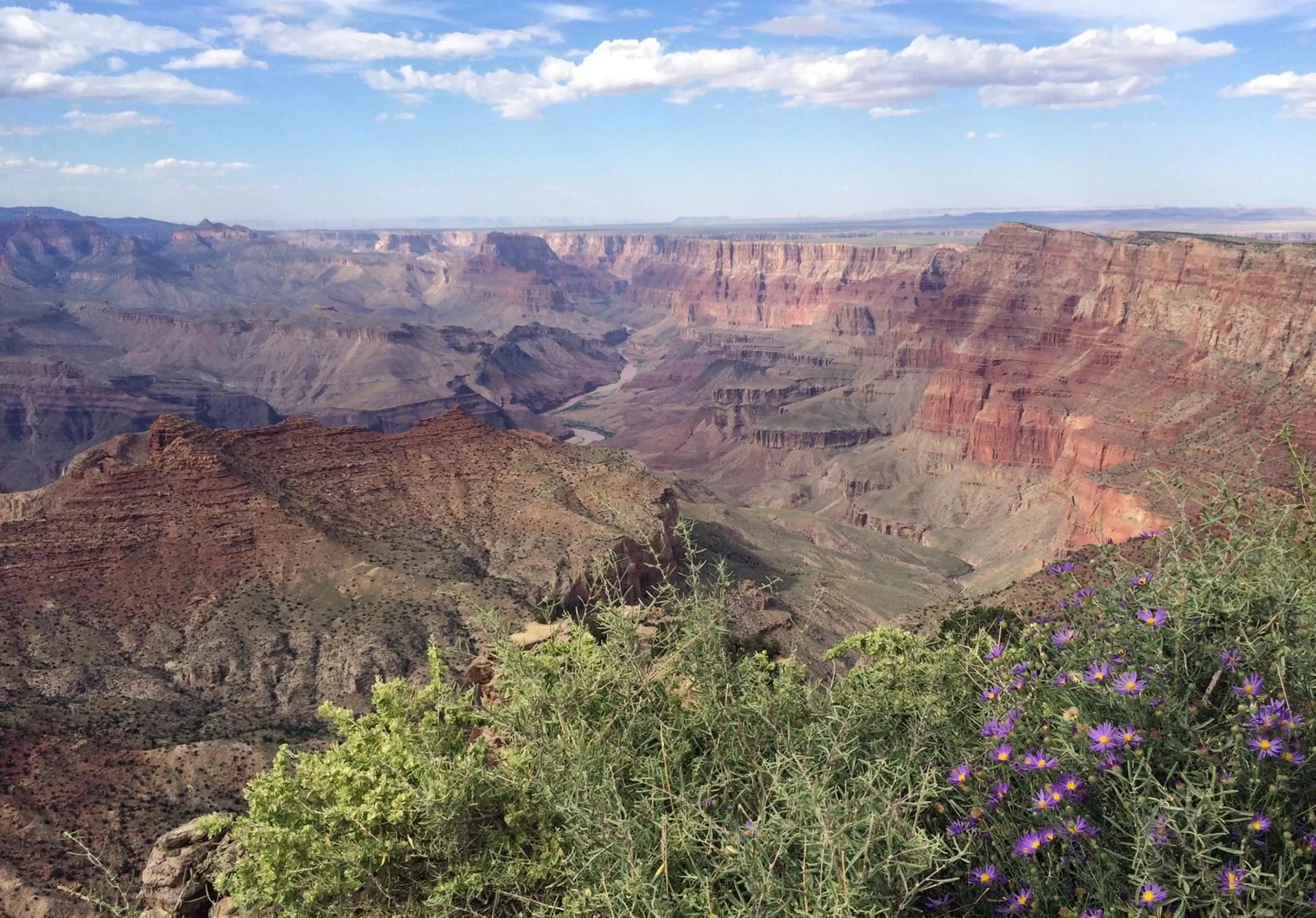 Nearby landmark in Grand Canyon Plaza Hotel-South Rim