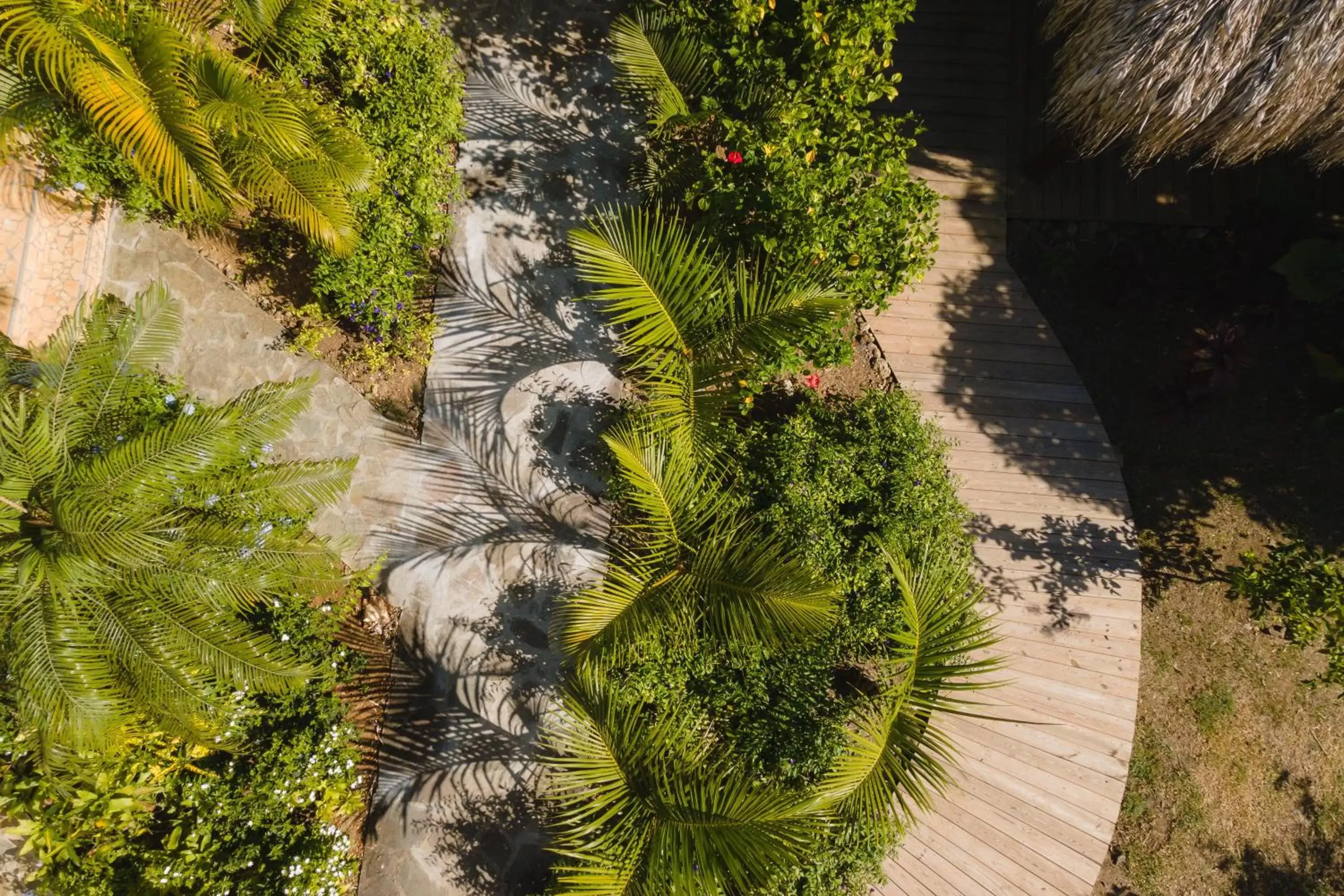 Garden view in Hotel ILOMA Corail Residence