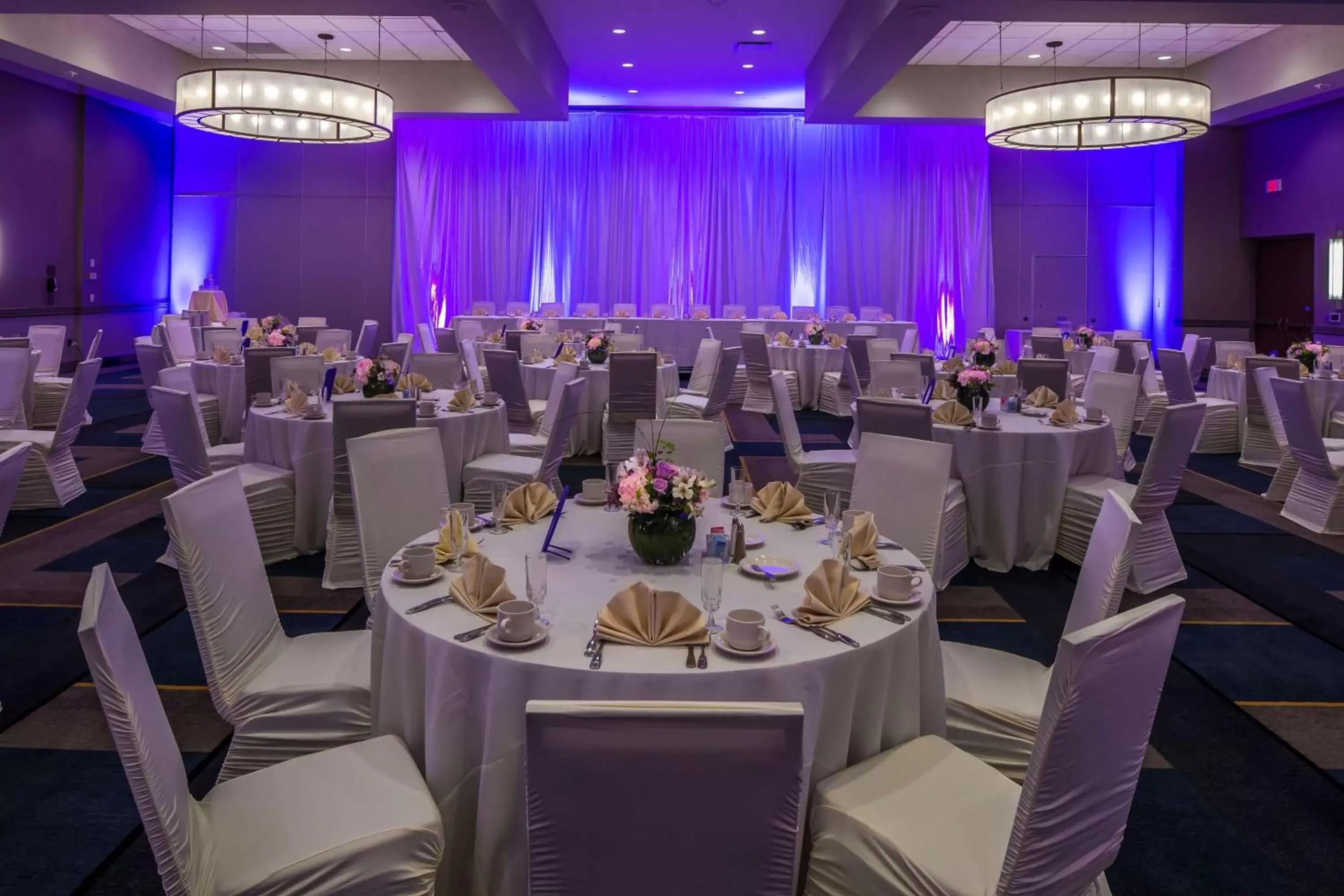 Meeting/conference room, Banquet Facilities in DoubleTree by Hilton Pittsburgh - Cranberry