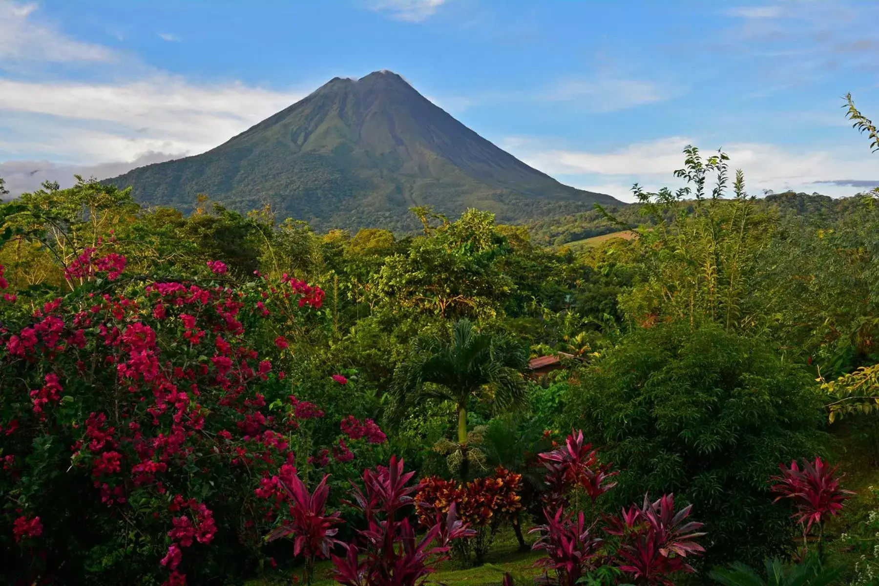 Mountain View in Arenal Manoa Resort & Hot Springs