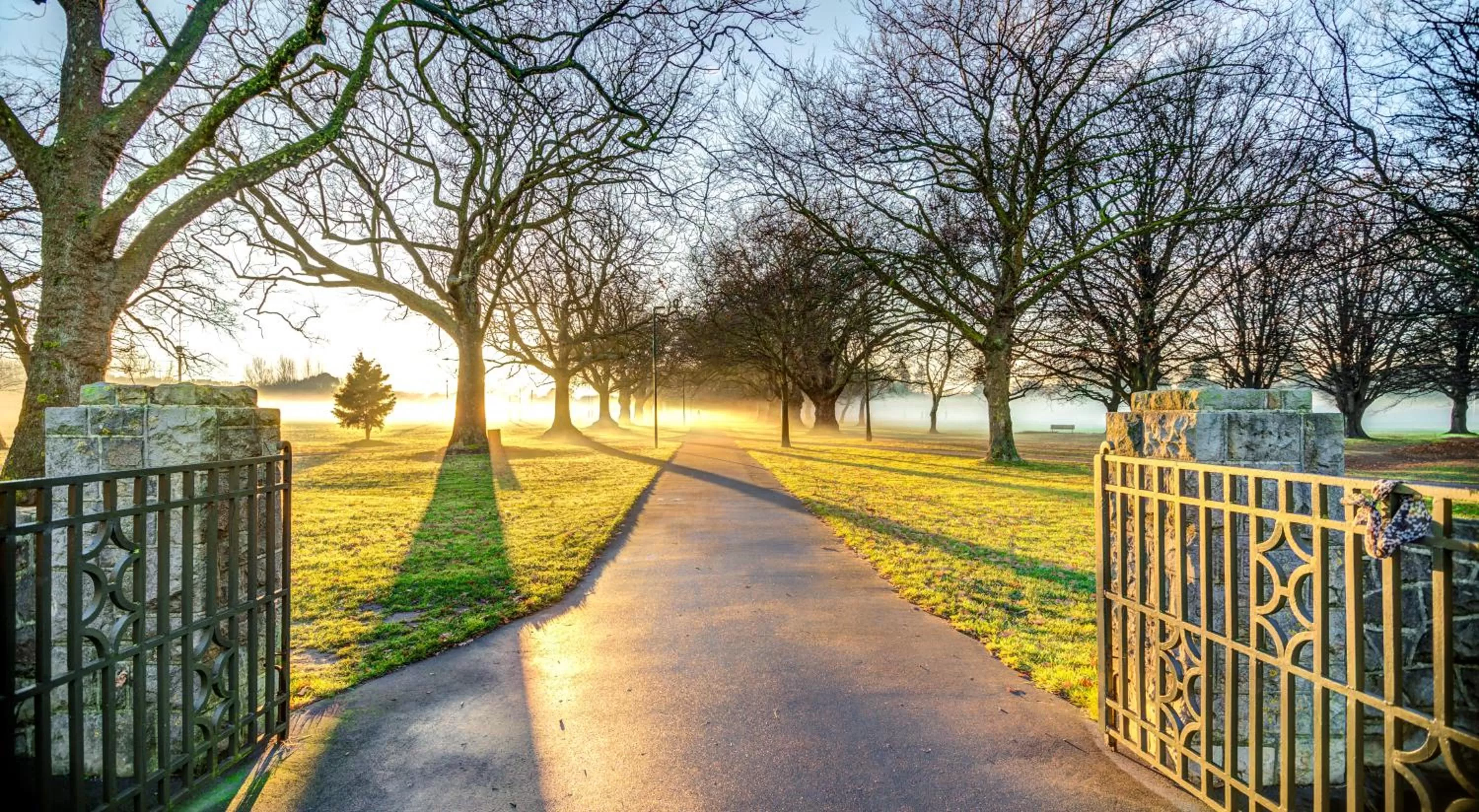Garden in Parkview On Hagley