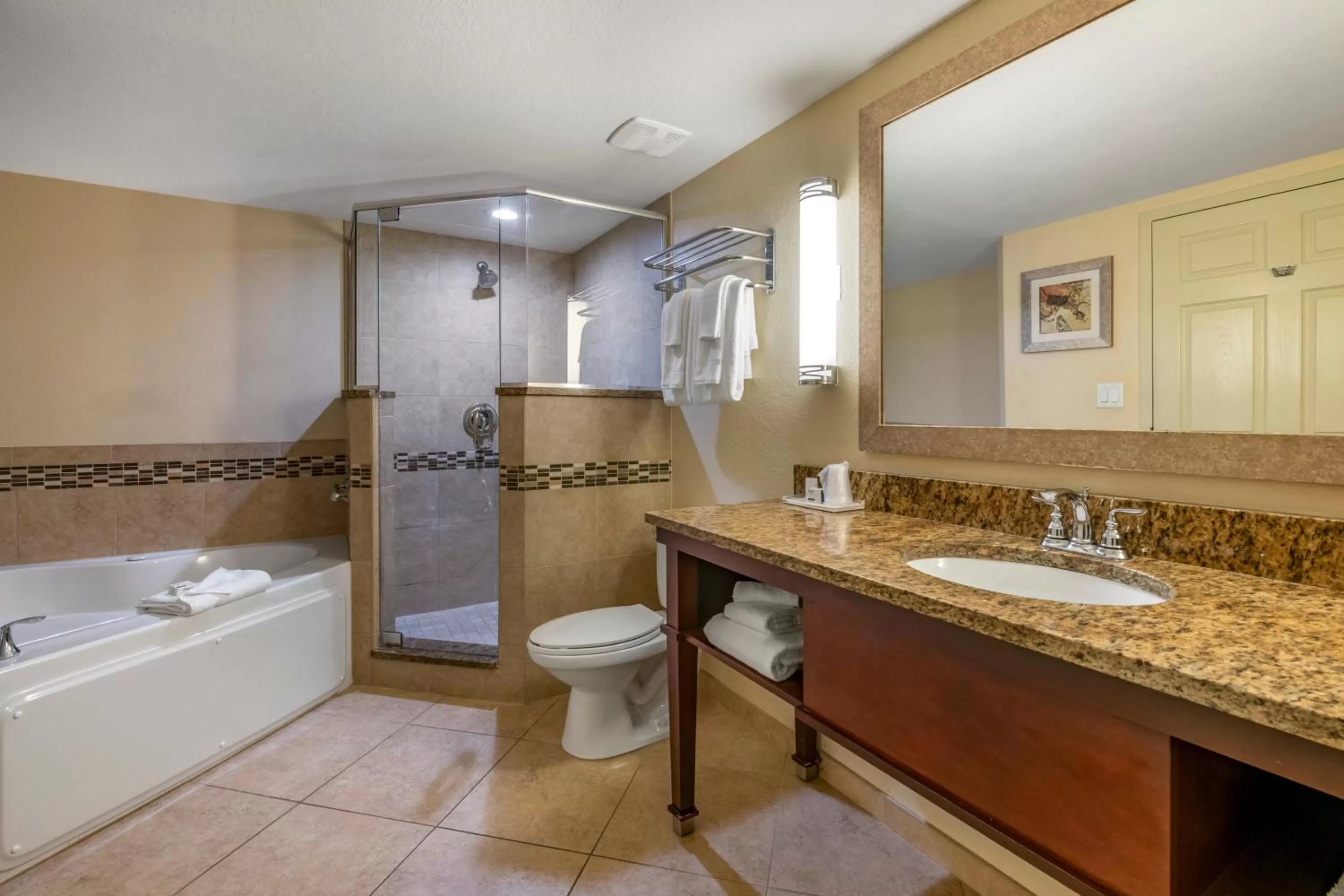 Bathroom in Holiday Inn Resort Orlando - Lake Buena Vista by IHG