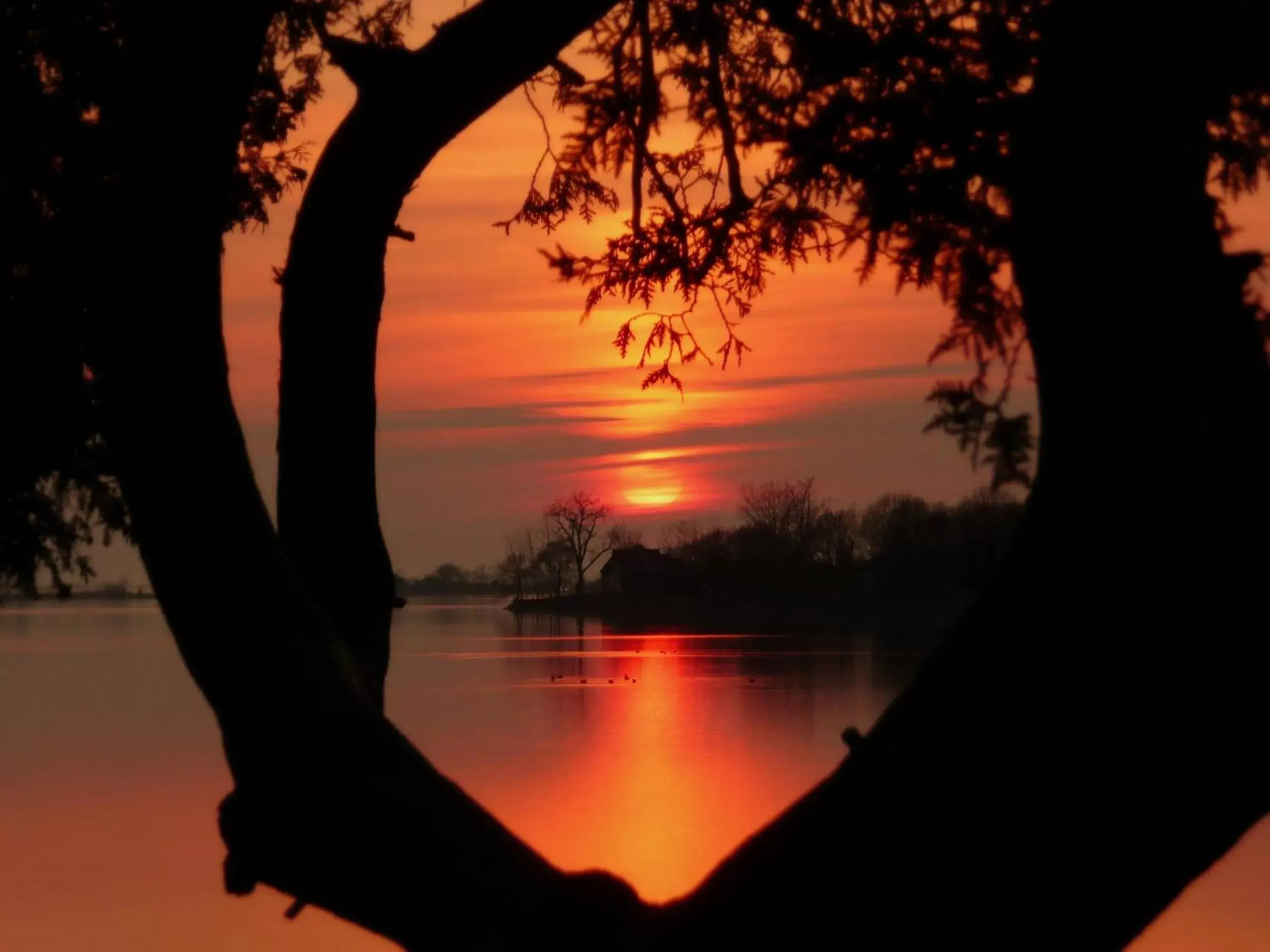 Beach, Sunrise/Sunset in Isaiah Tubbs Resort