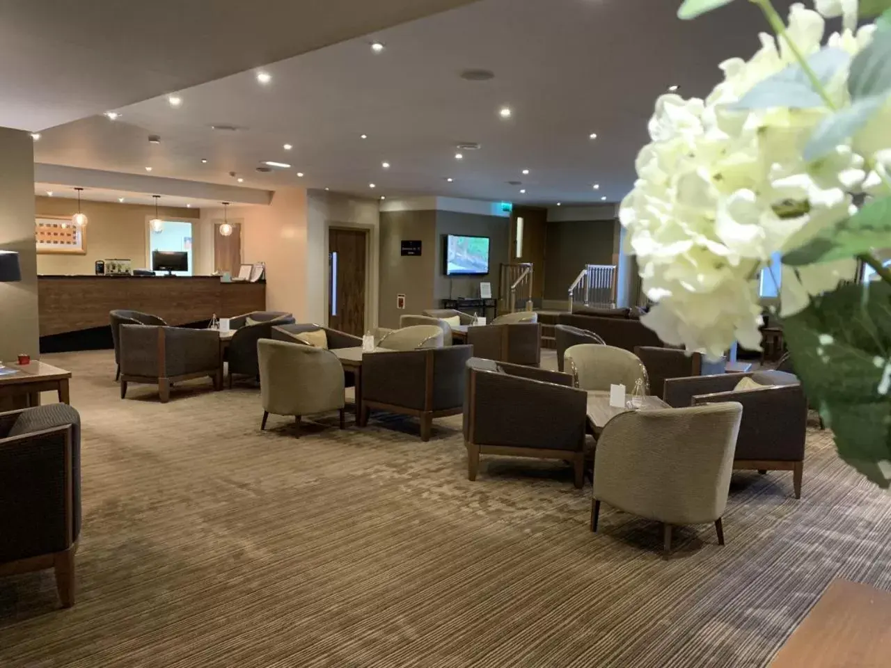 Lobby or reception in Park Hotel Lobby or reception in Park Hotel