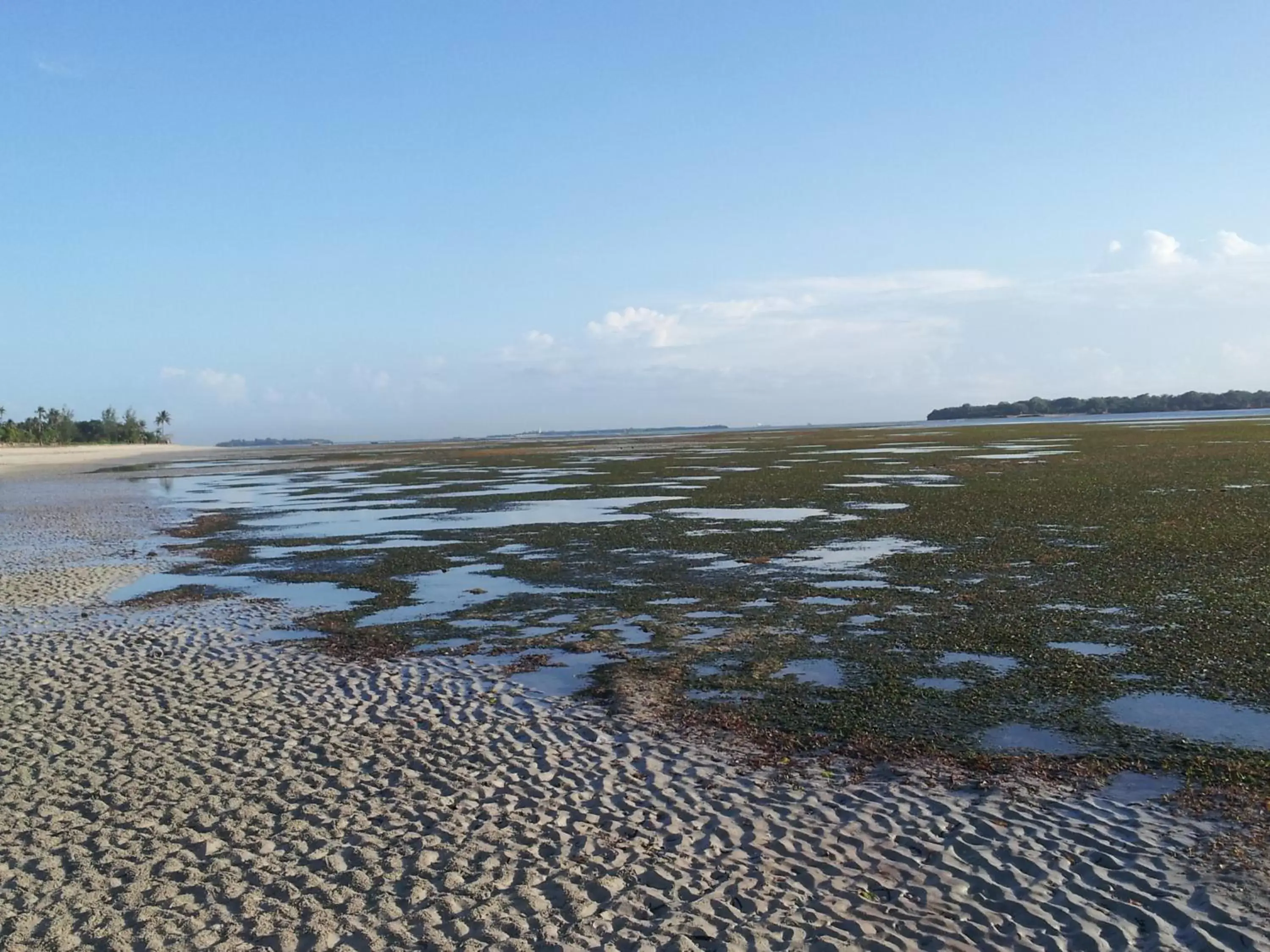 Day, Beach in Kijiji Beach Resort