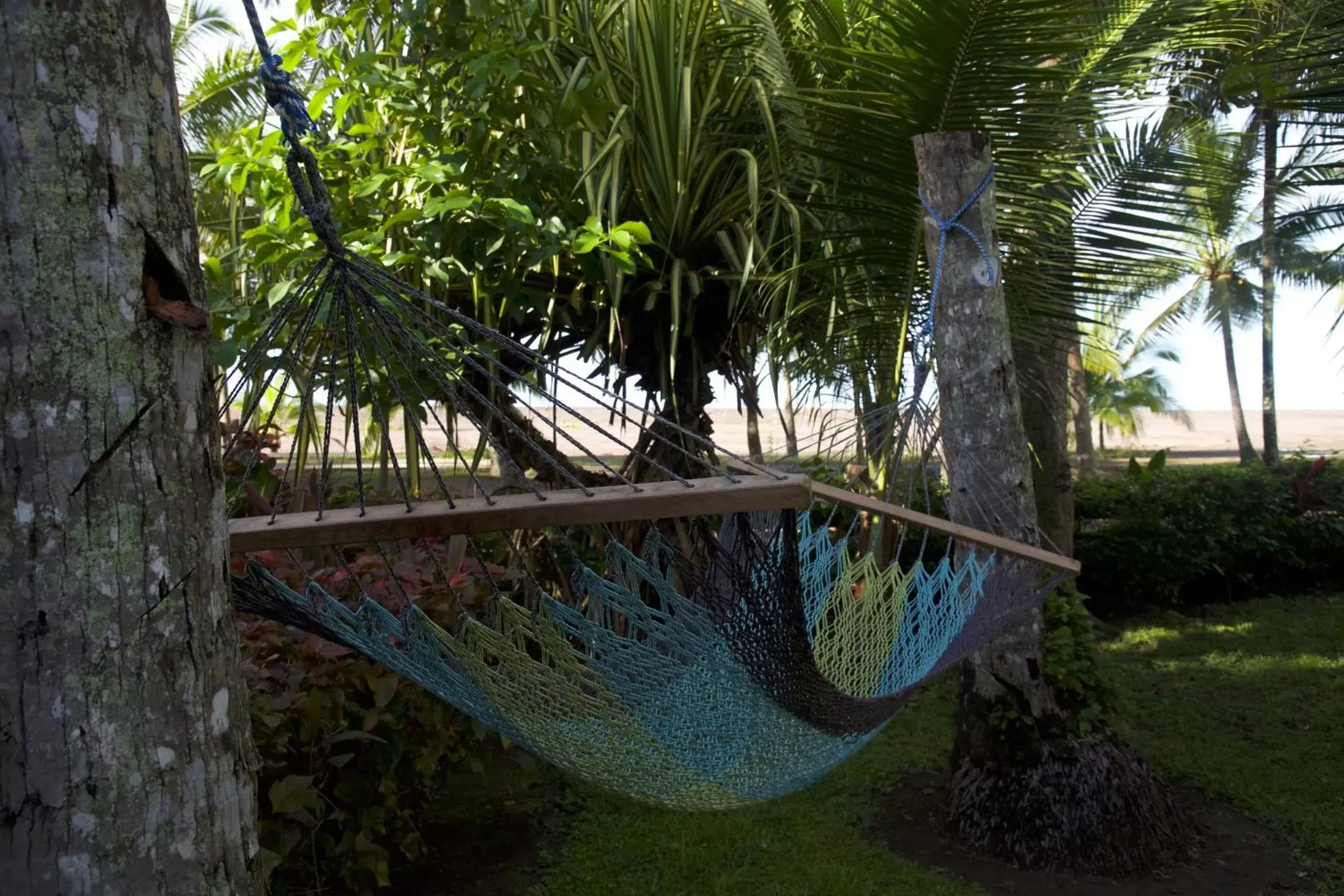 Garden in Hotel Pochote Grande