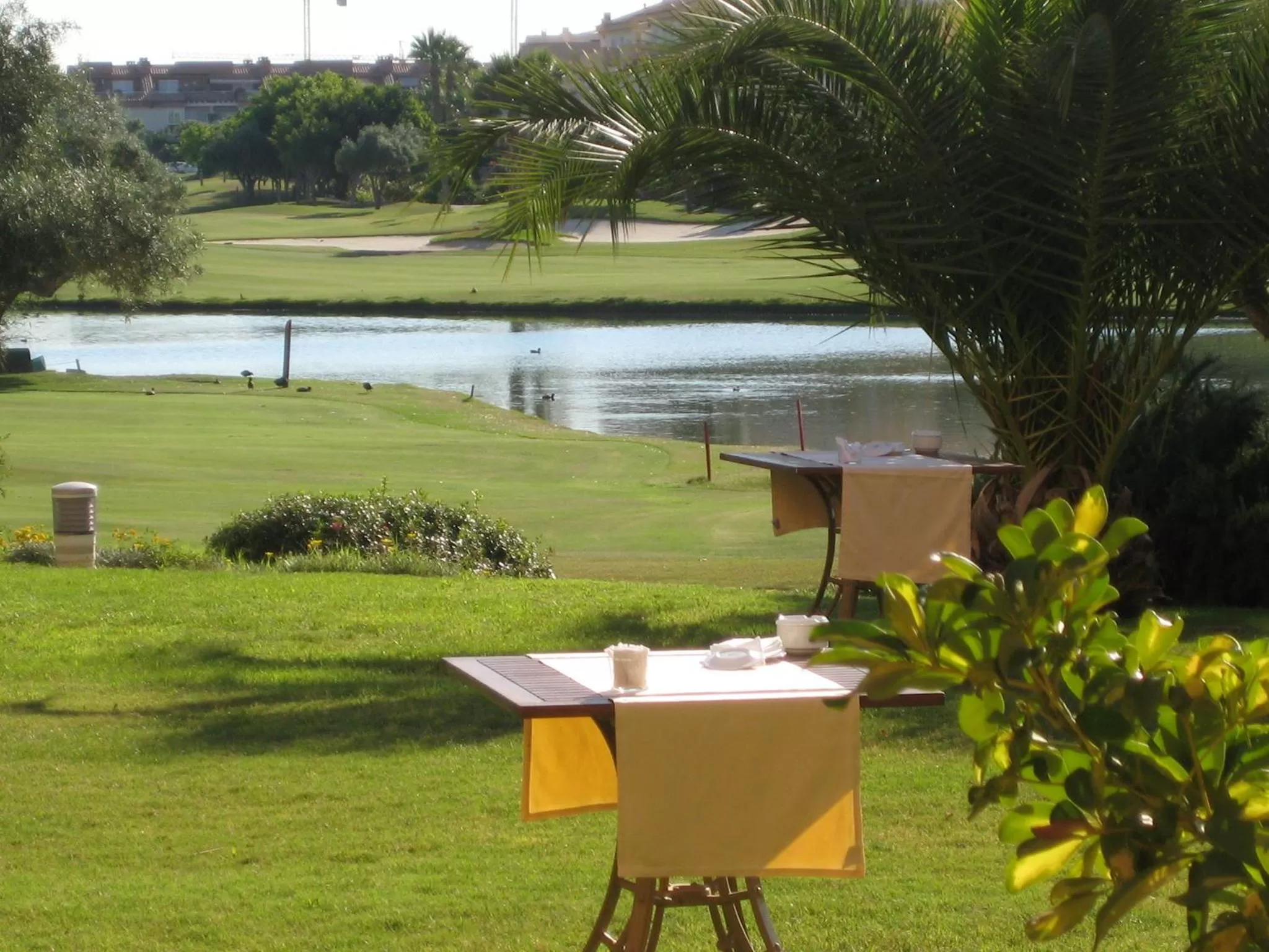 Area and facilities in Hotel Alicante Golf