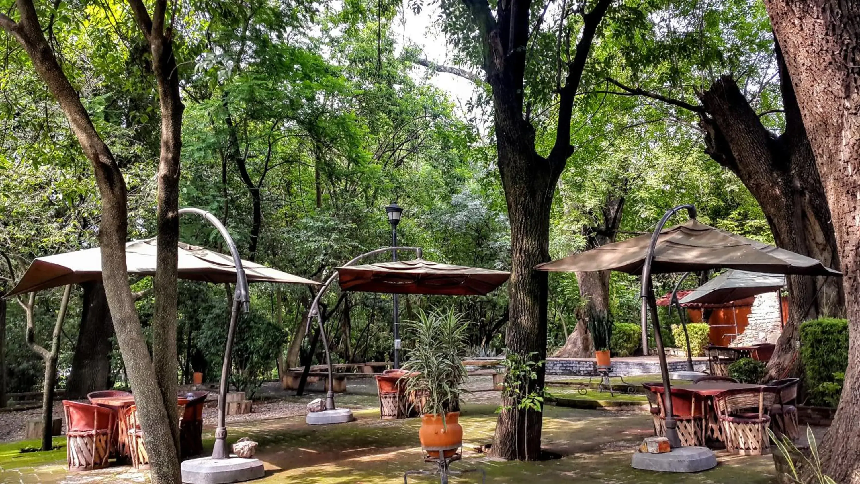 Patio in El Marques Hacienda