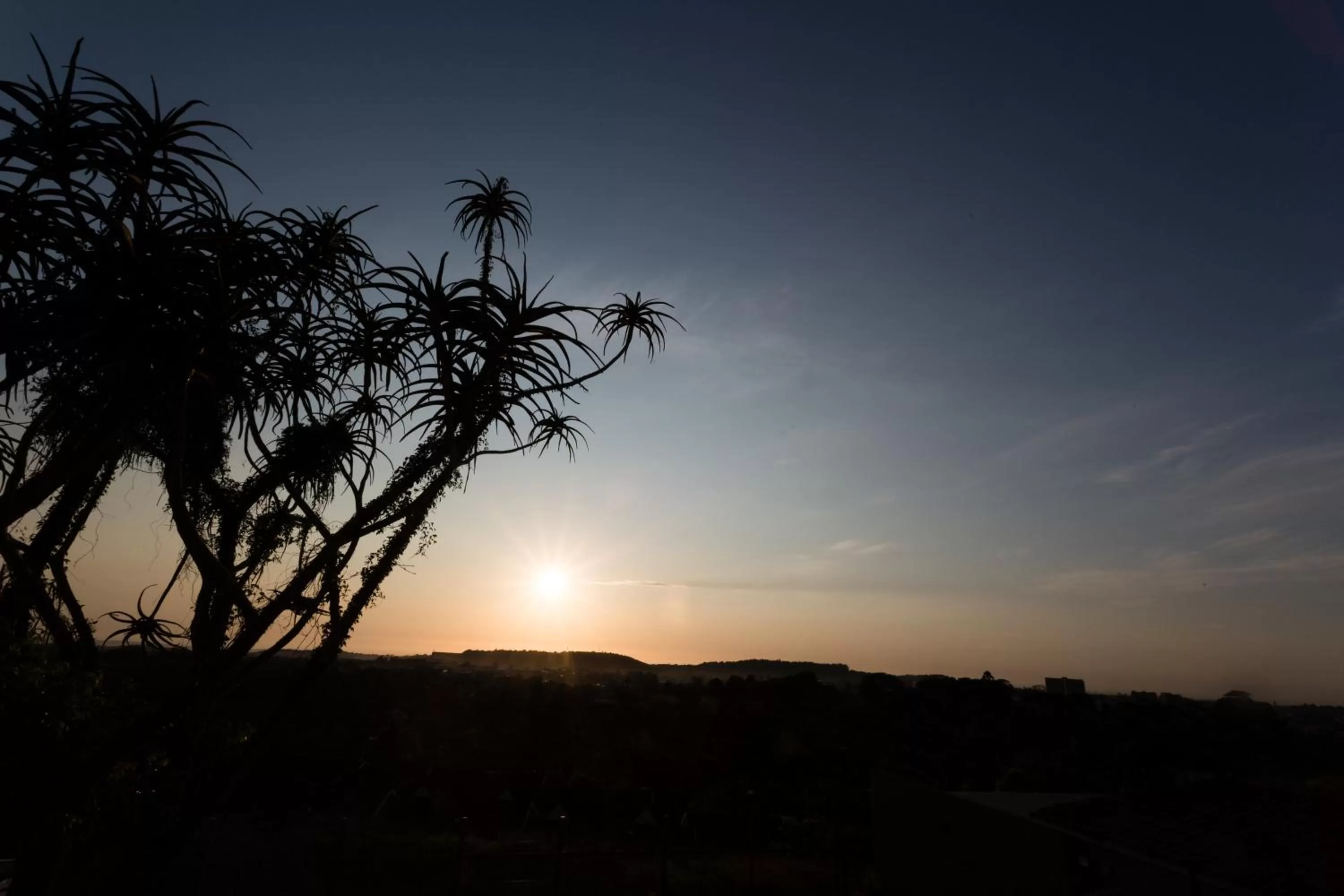 Garden view in The Gregory