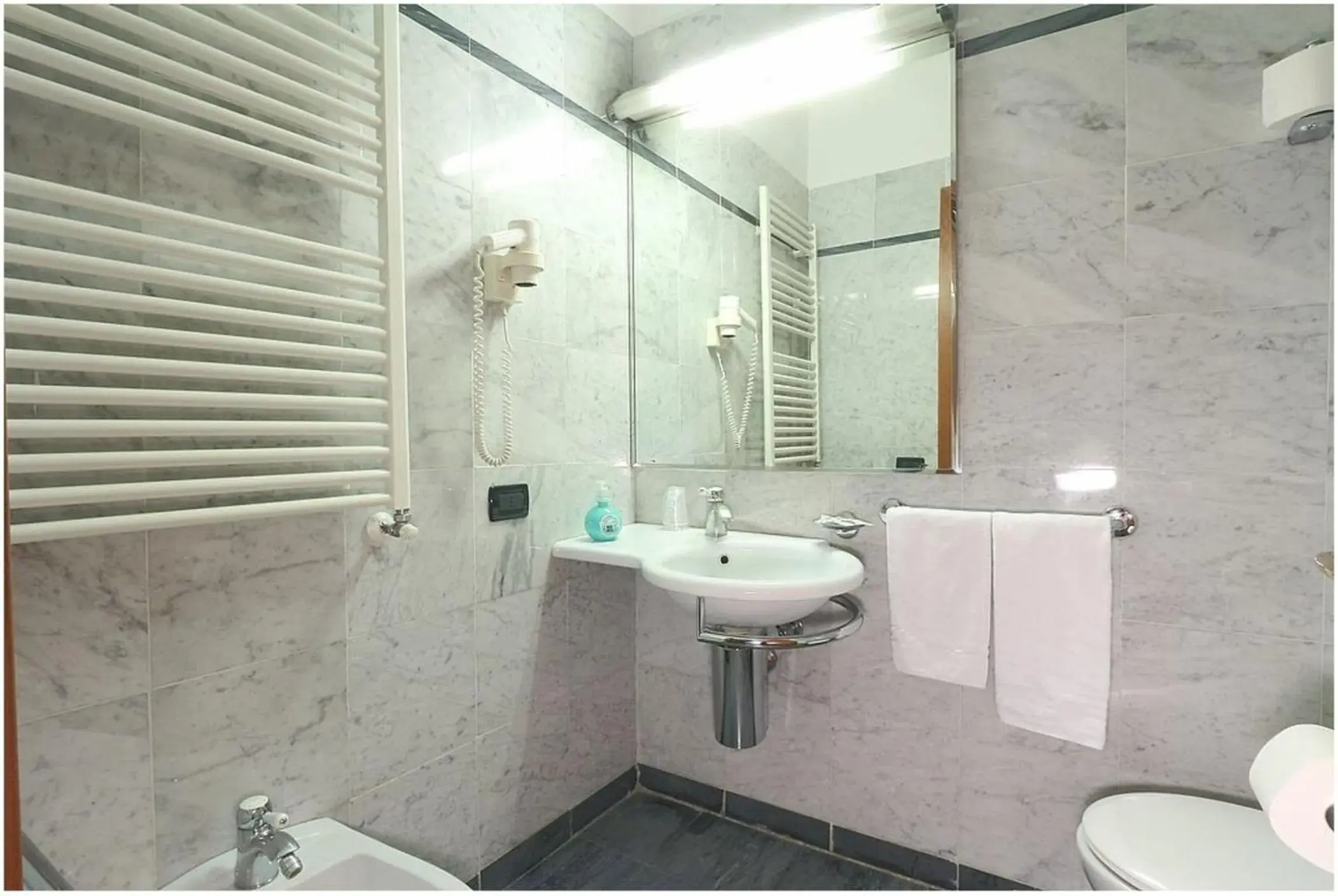 Shower, Bathroom in Hotel Arcadia