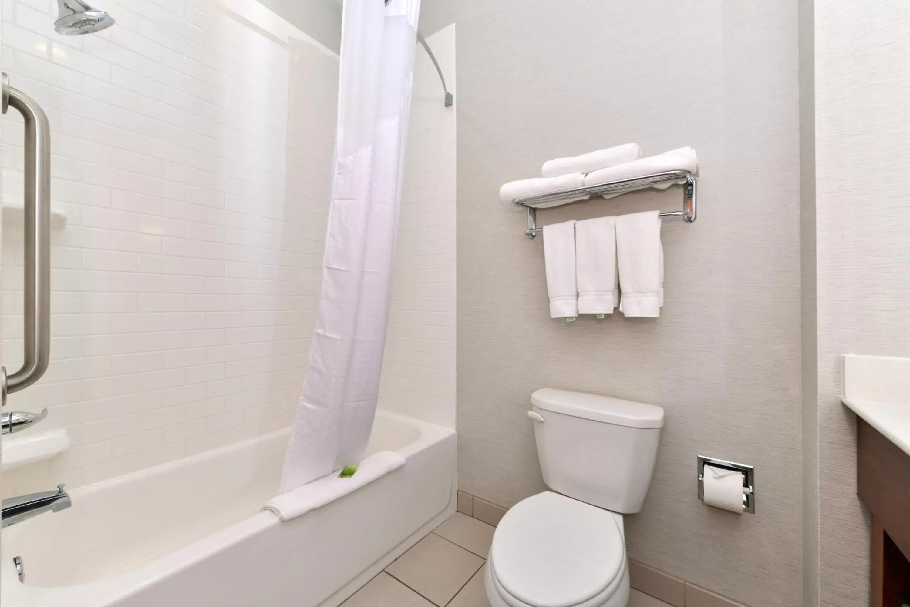 Bathroom in Holiday Inn Express Hotel & Suites Terre Haute, an IHG Hotel