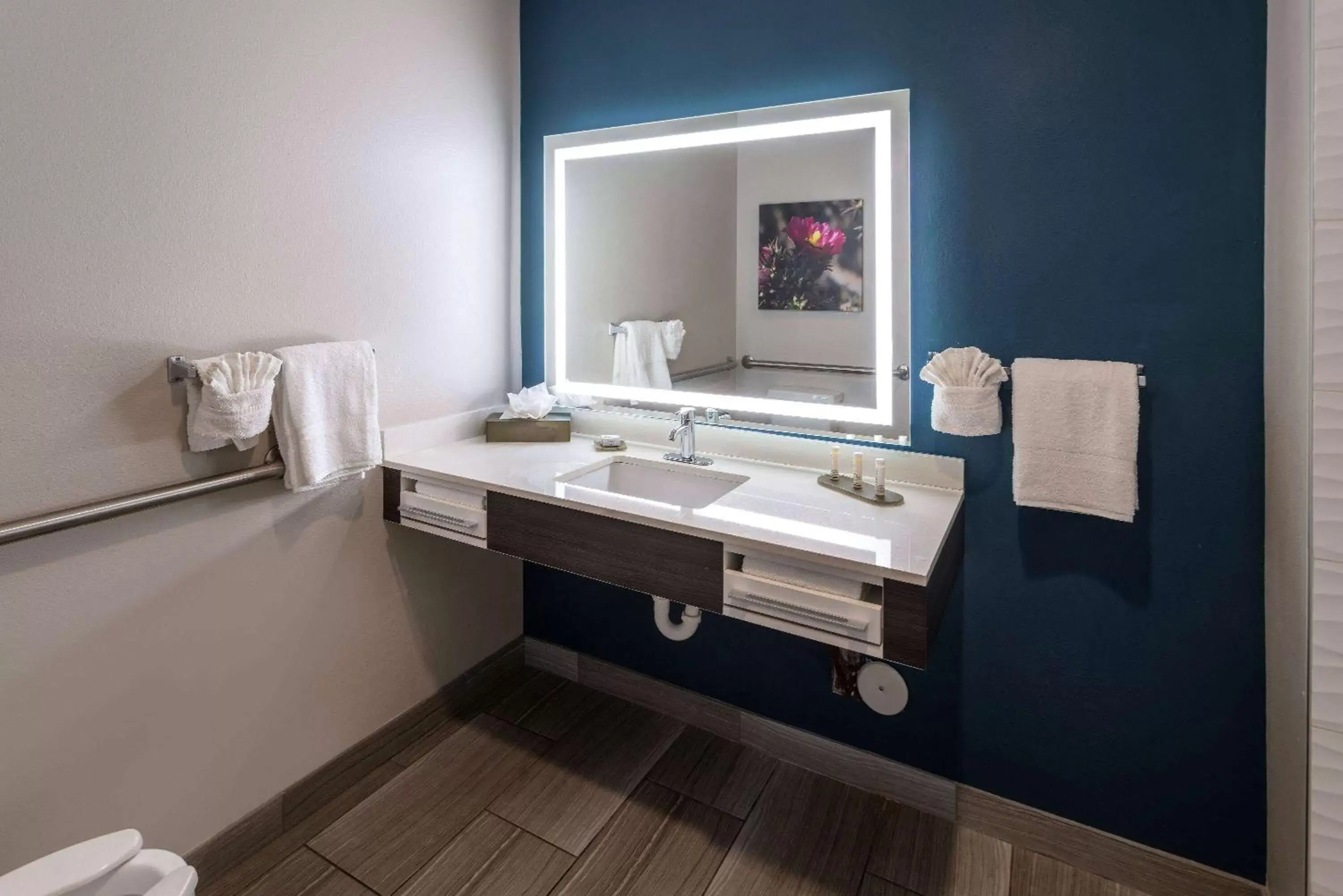 TV and multimedia, Bathroom in La Quinta Inn & Suites by Wyndham Holbrook Petrified Forest