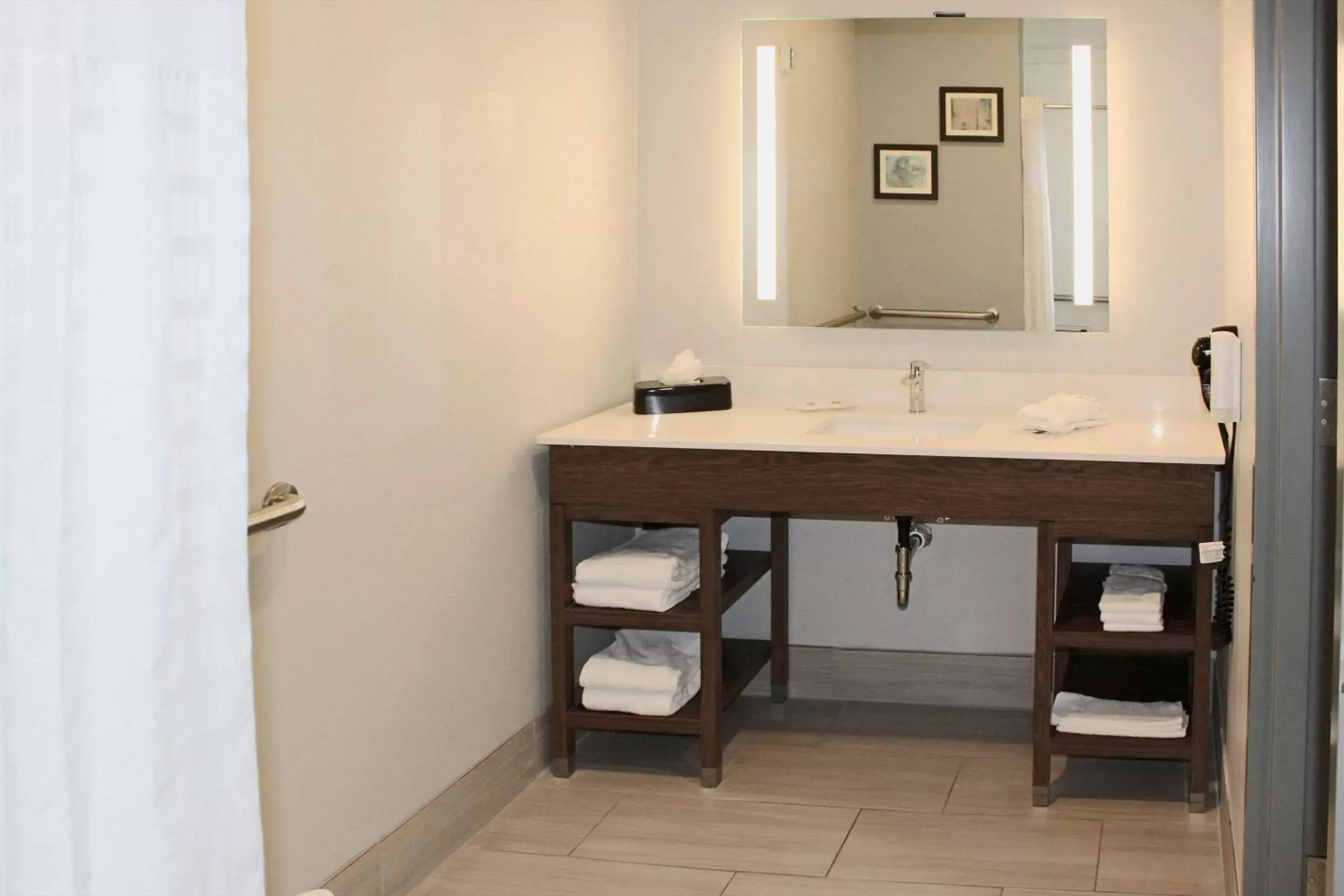 Bathroom in Comfort Inn and Suites Near Lake Guntersville