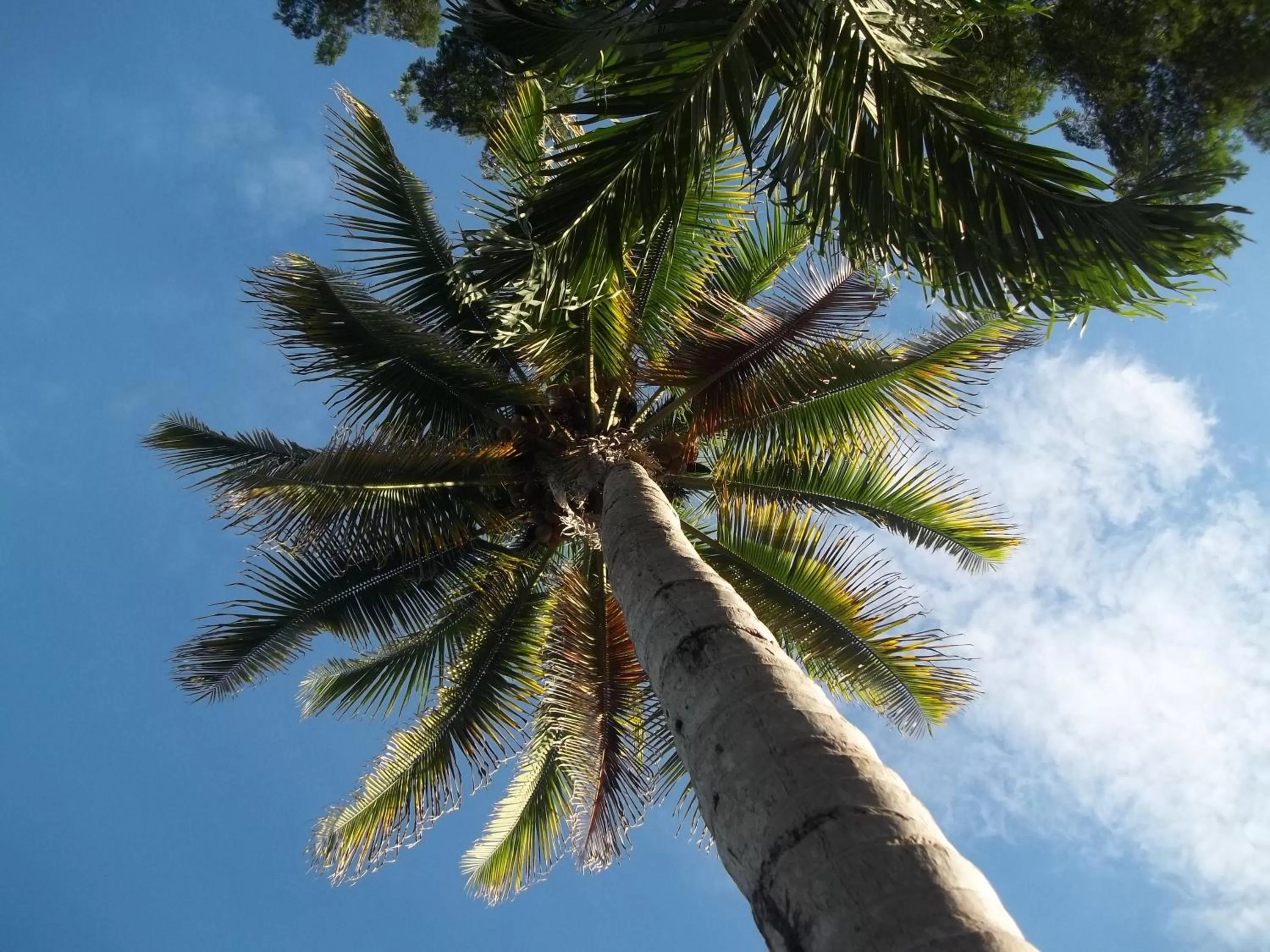 Hotel Hacienda Don Paolo