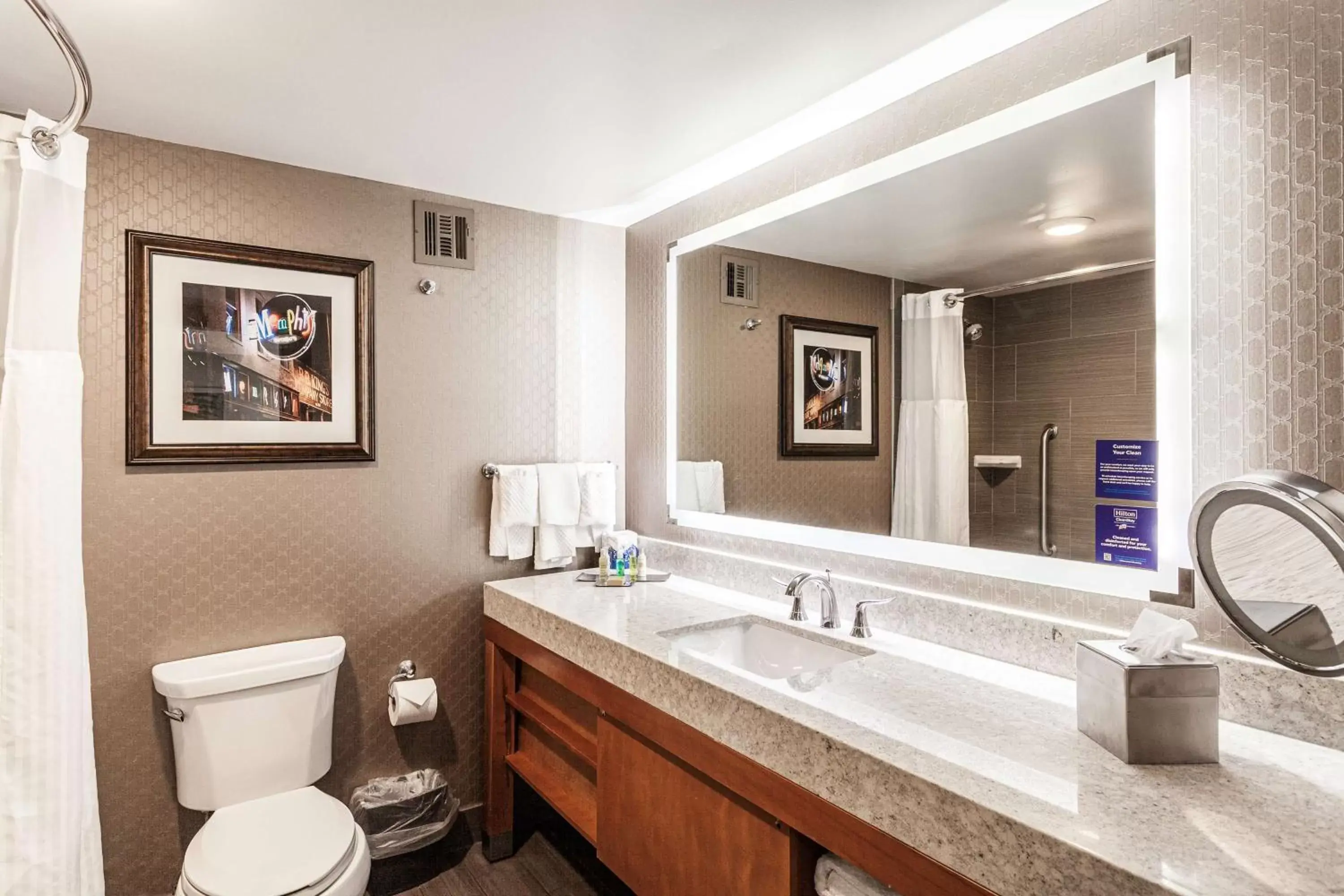 Bathroom in DoubleTree by Hilton Memphis