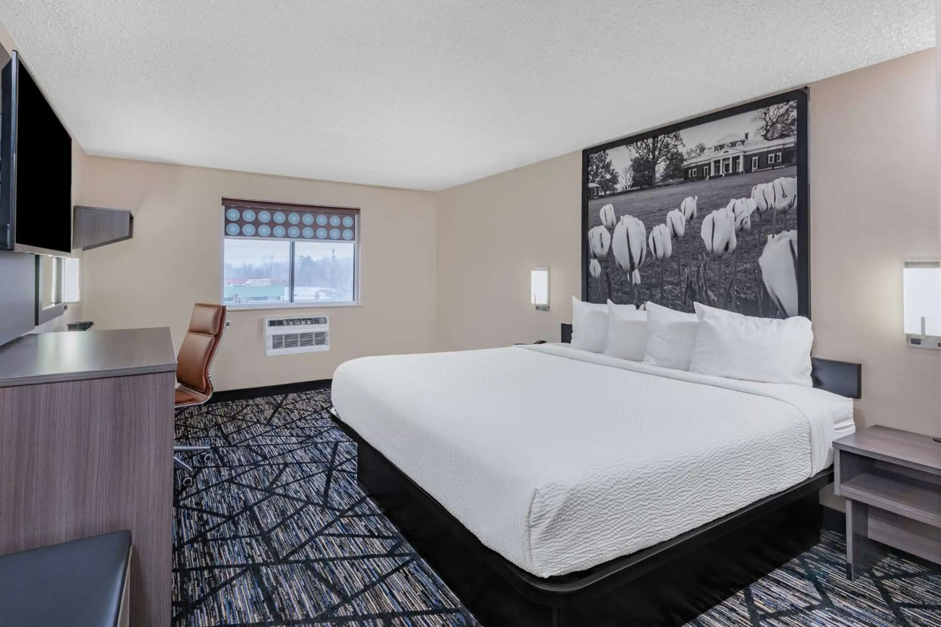 Photo of the whole room, Bed in Super 8 by Wyndham Charlottesville
