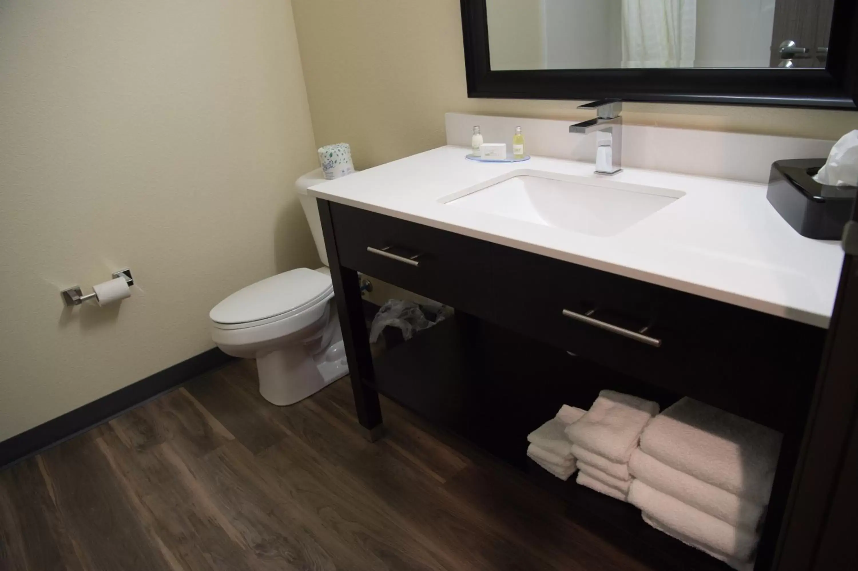 Toilet, Bathroom in Cobblestone Inn & Suites - Forest City