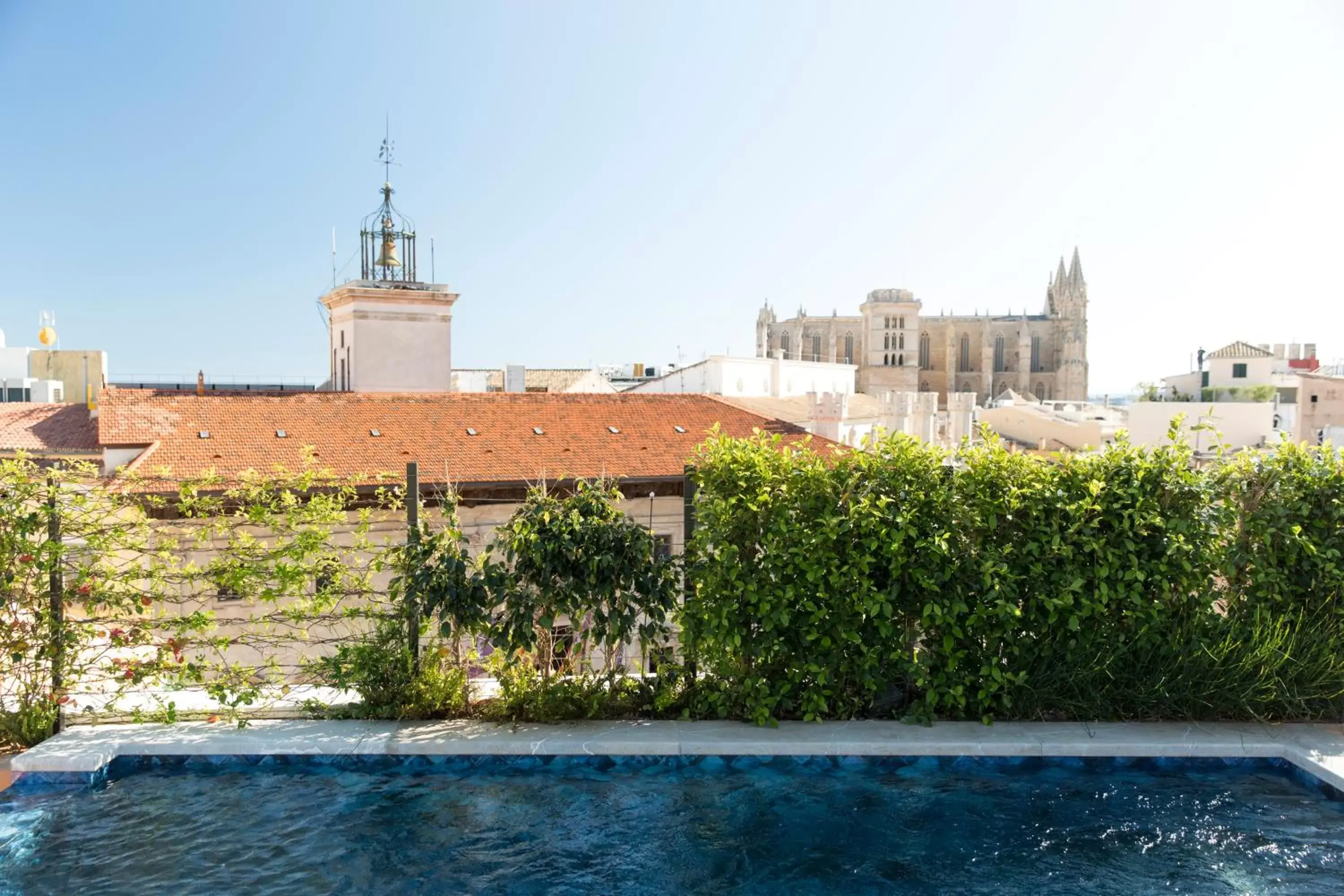 Swimming pool in Hotel Cappuccino - Palma Swimming pool in Hotel Cappuccino - Palma