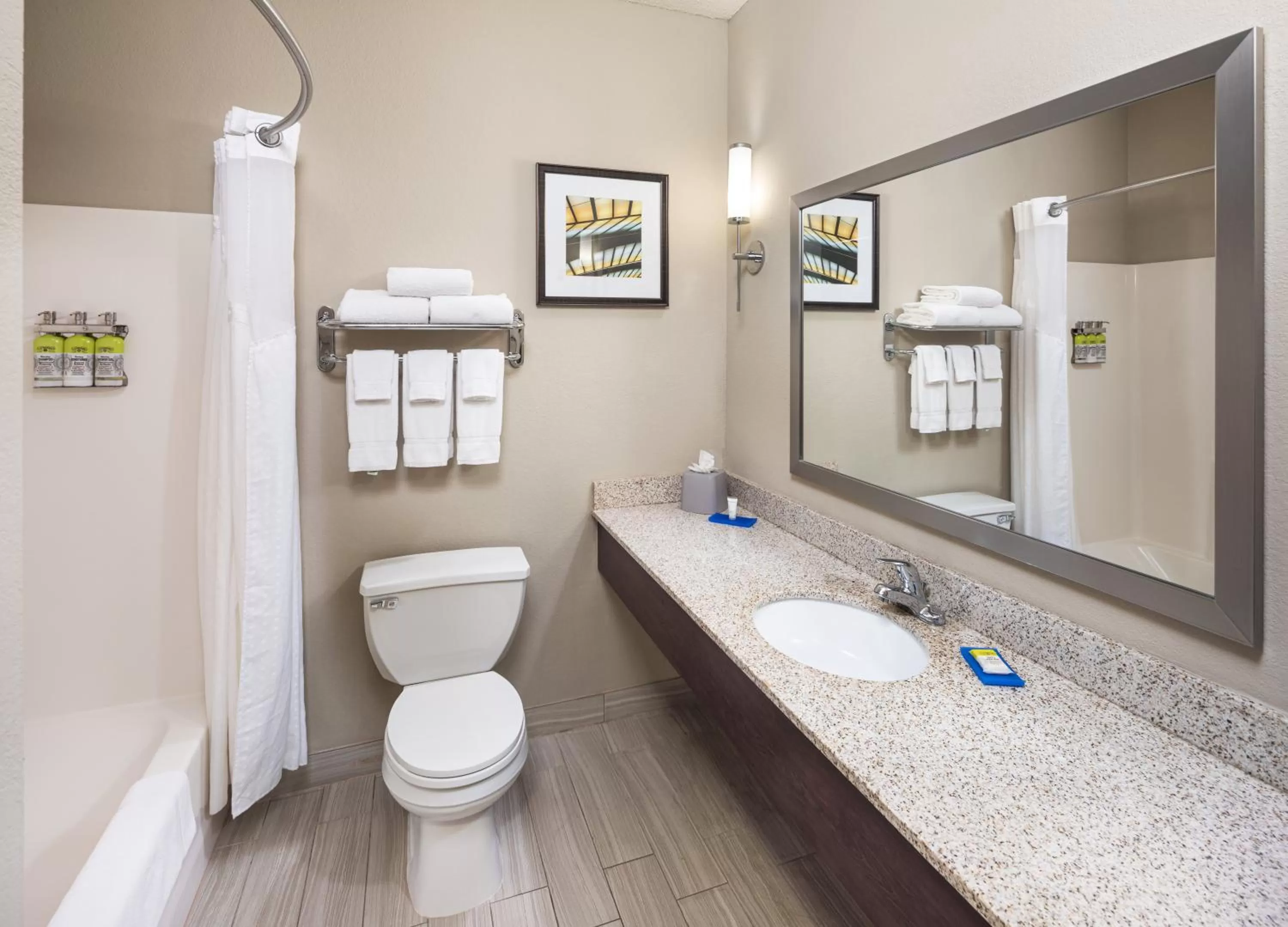 Bathroom in Holiday Inn Express Hotel & Suites Minneapolis - Minnetonka by IHG