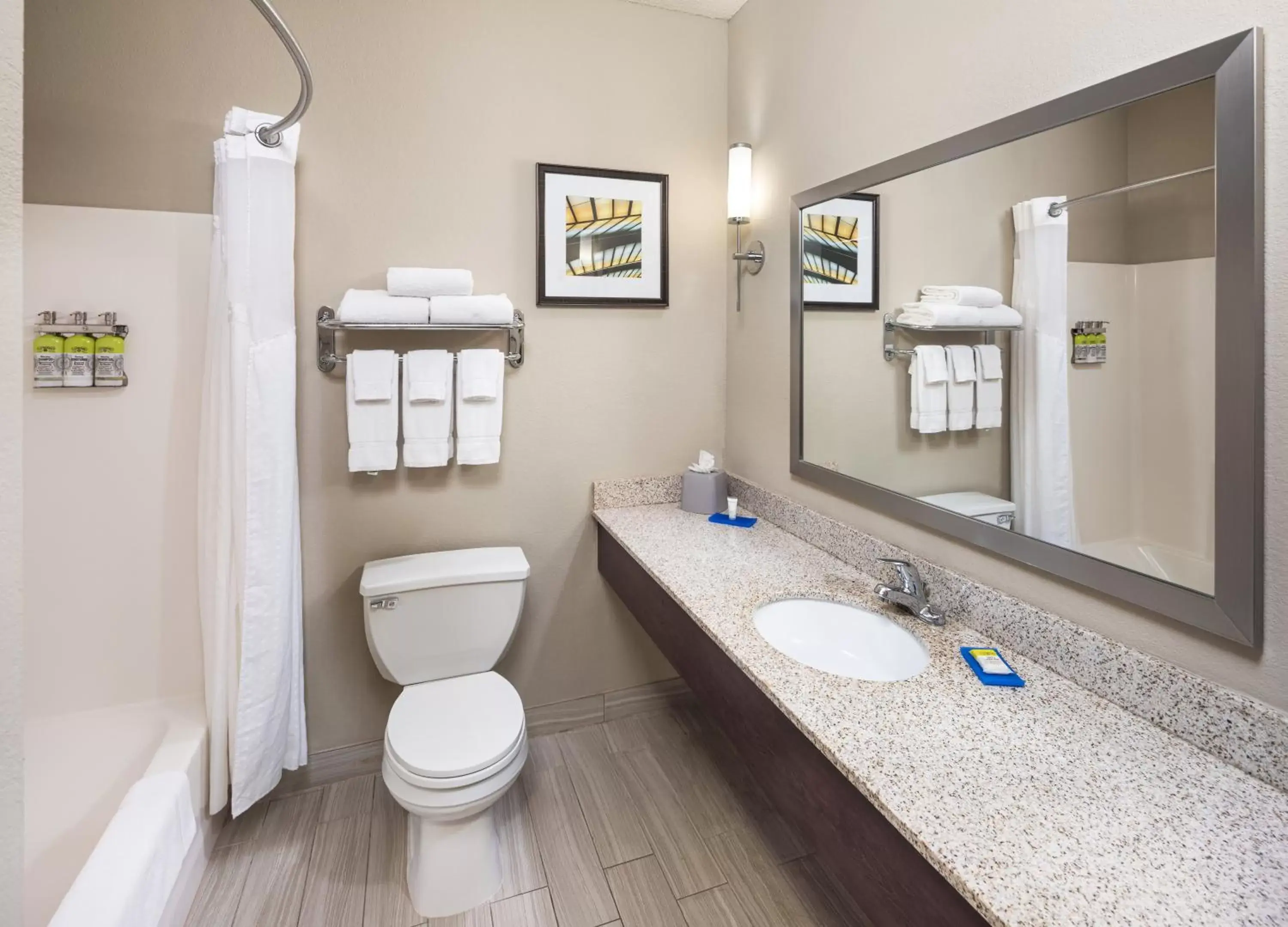 Bathroom in Holiday Inn Express Hotel & Suites Minneapolis - Minnetonka, an IHG Hotel