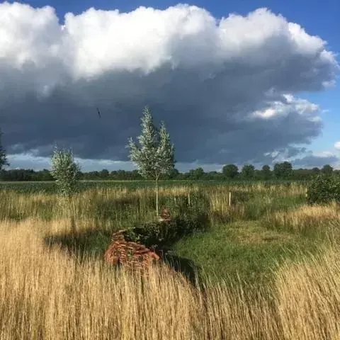 Natural Landscape in Bed and Breakfast ChickpointCharlie