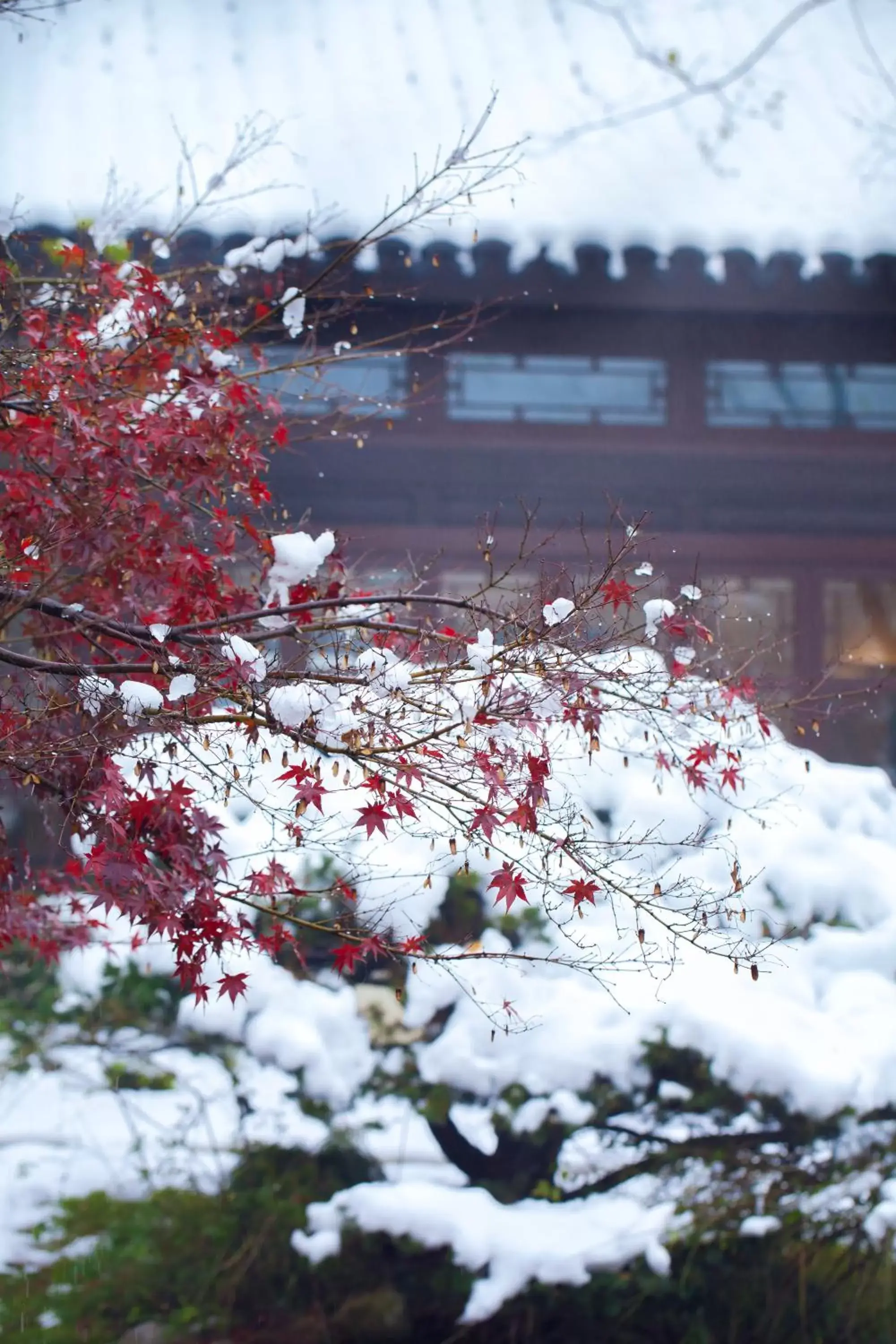 Winter in Four Seasons Hotel Hangzhou at West Lake