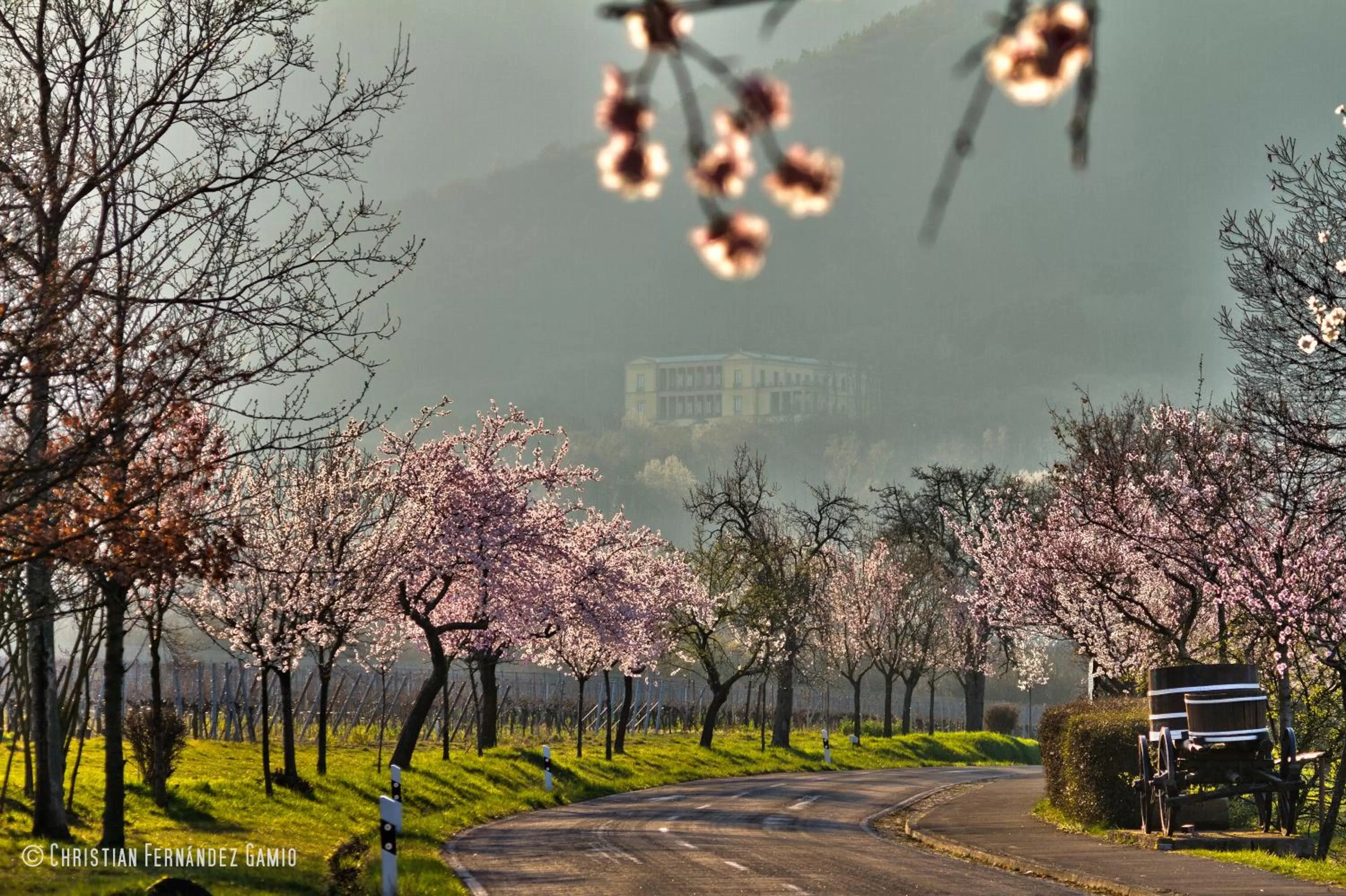 Nearby landmark in Das Prinzregent