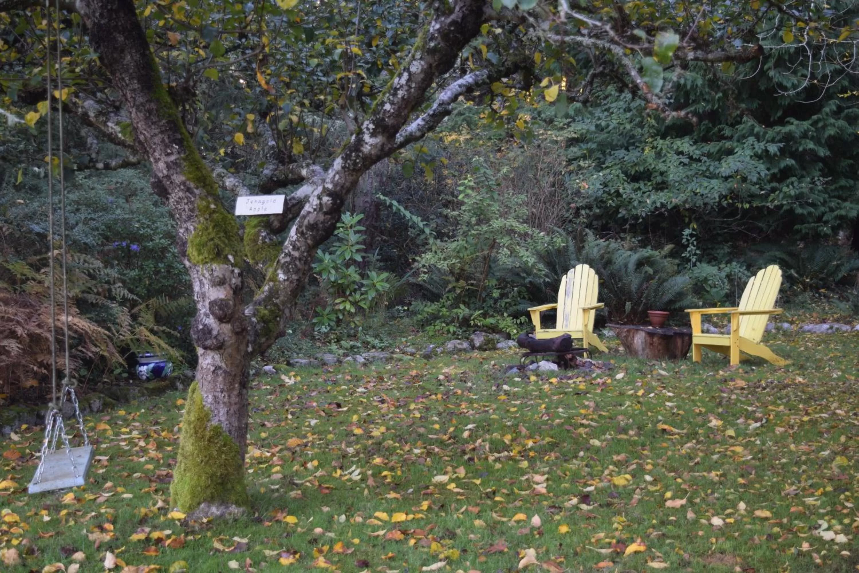 The Bluff on Whidbey