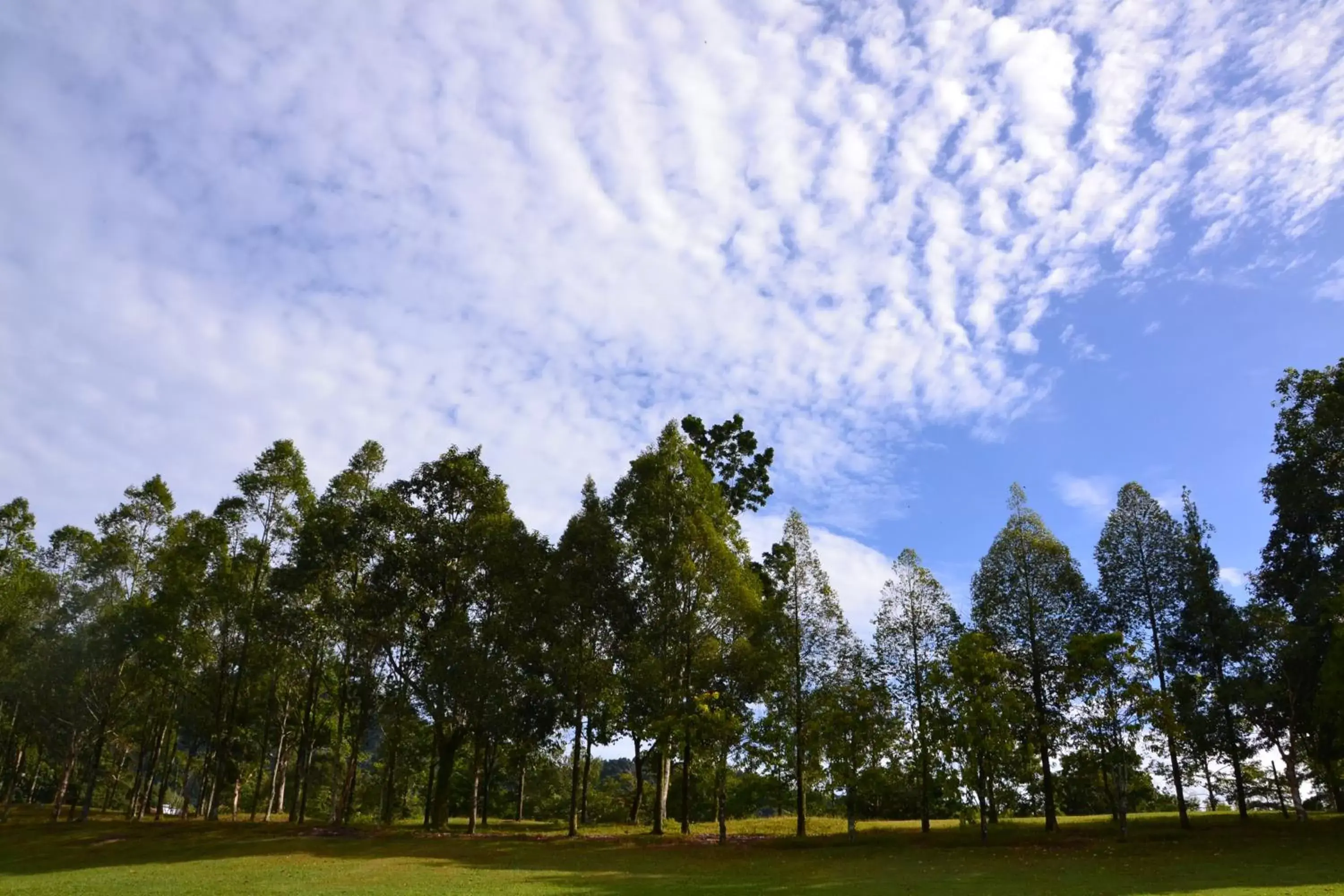 Golfcourse, Neighborhood in Meru Suites at Meru Valley Resort