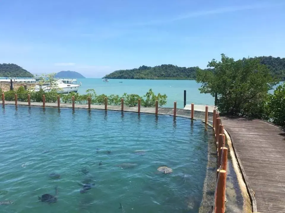 Swimming Pool in Parama Koh Chang