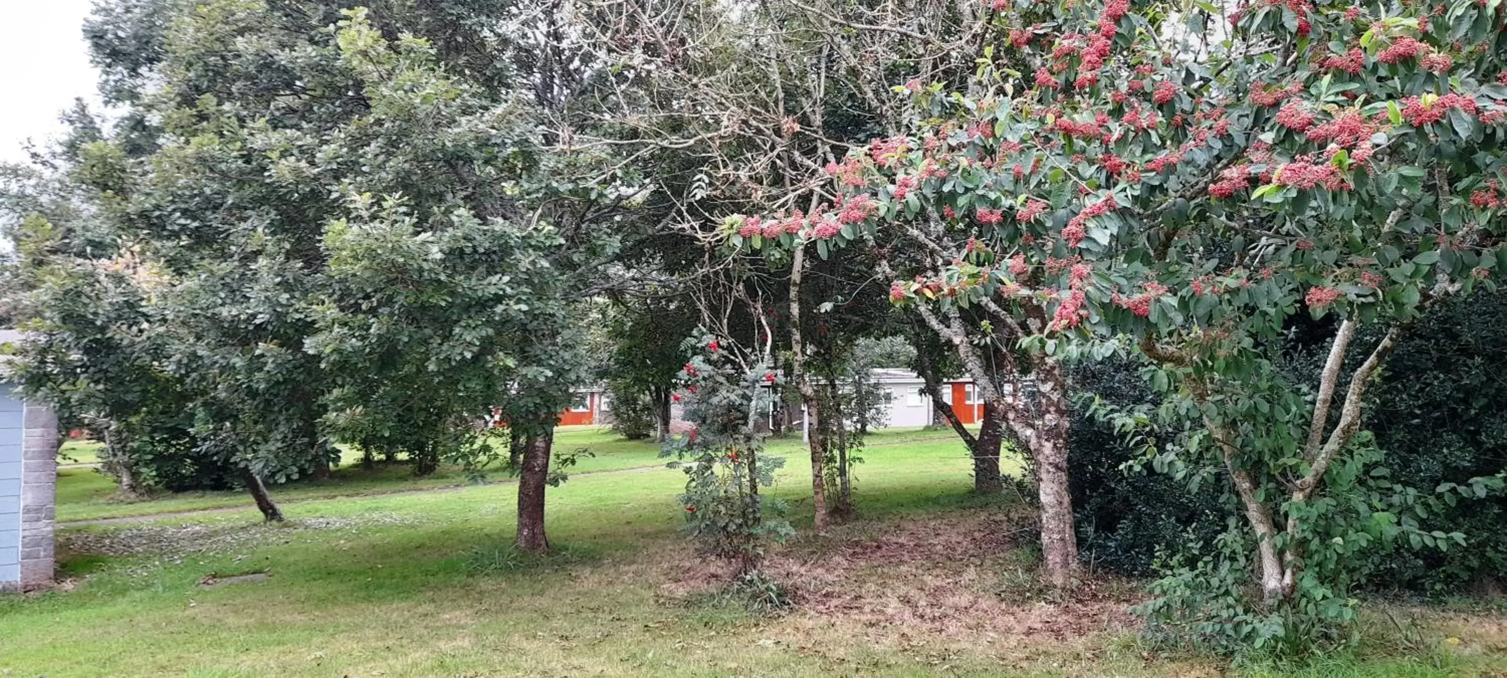 Property building, Garden in Sheena's Dartmouth Chalets